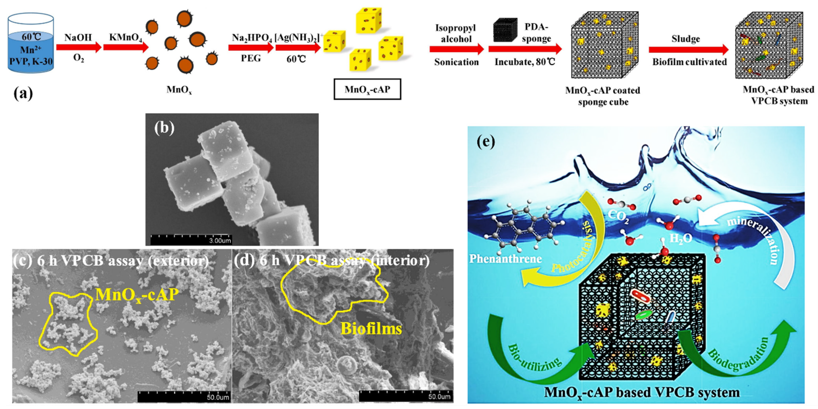 Catalysts 12 00289 g015 550