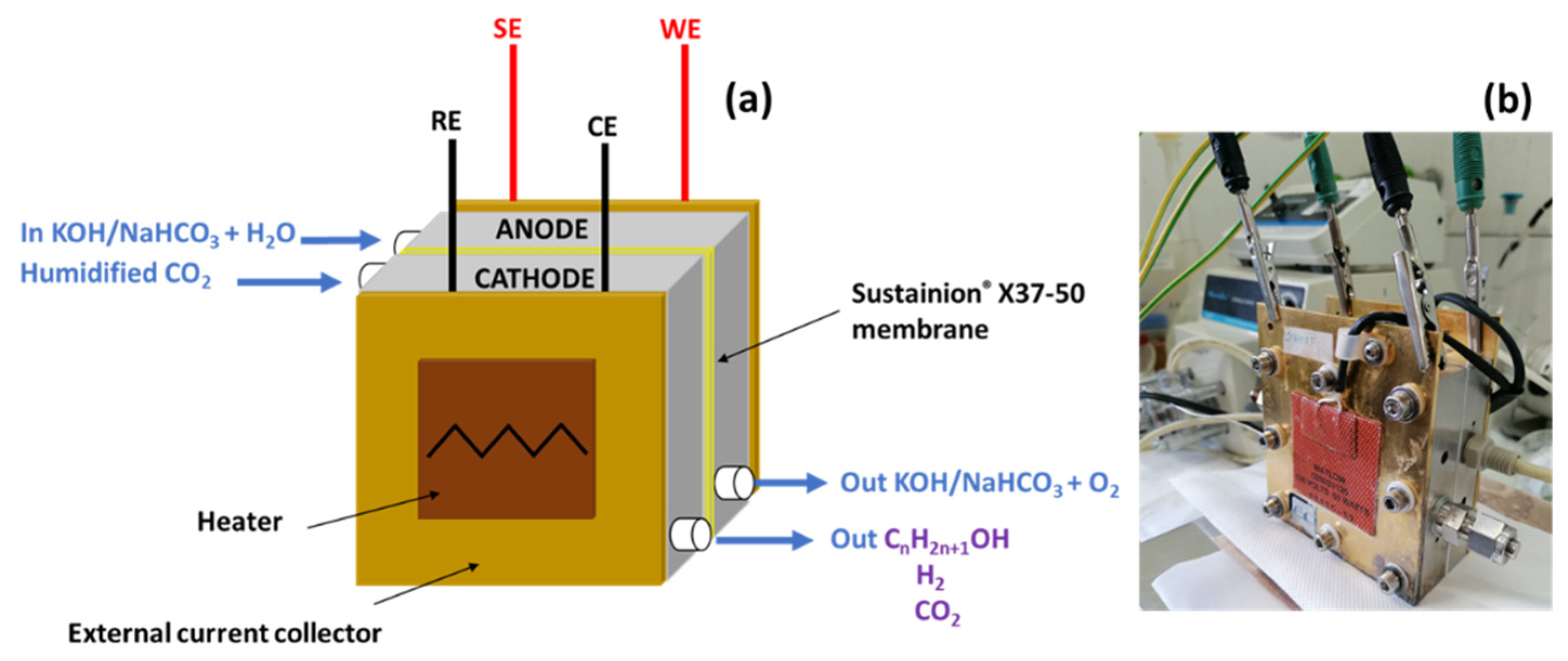 Catalysts 12 00293 g005