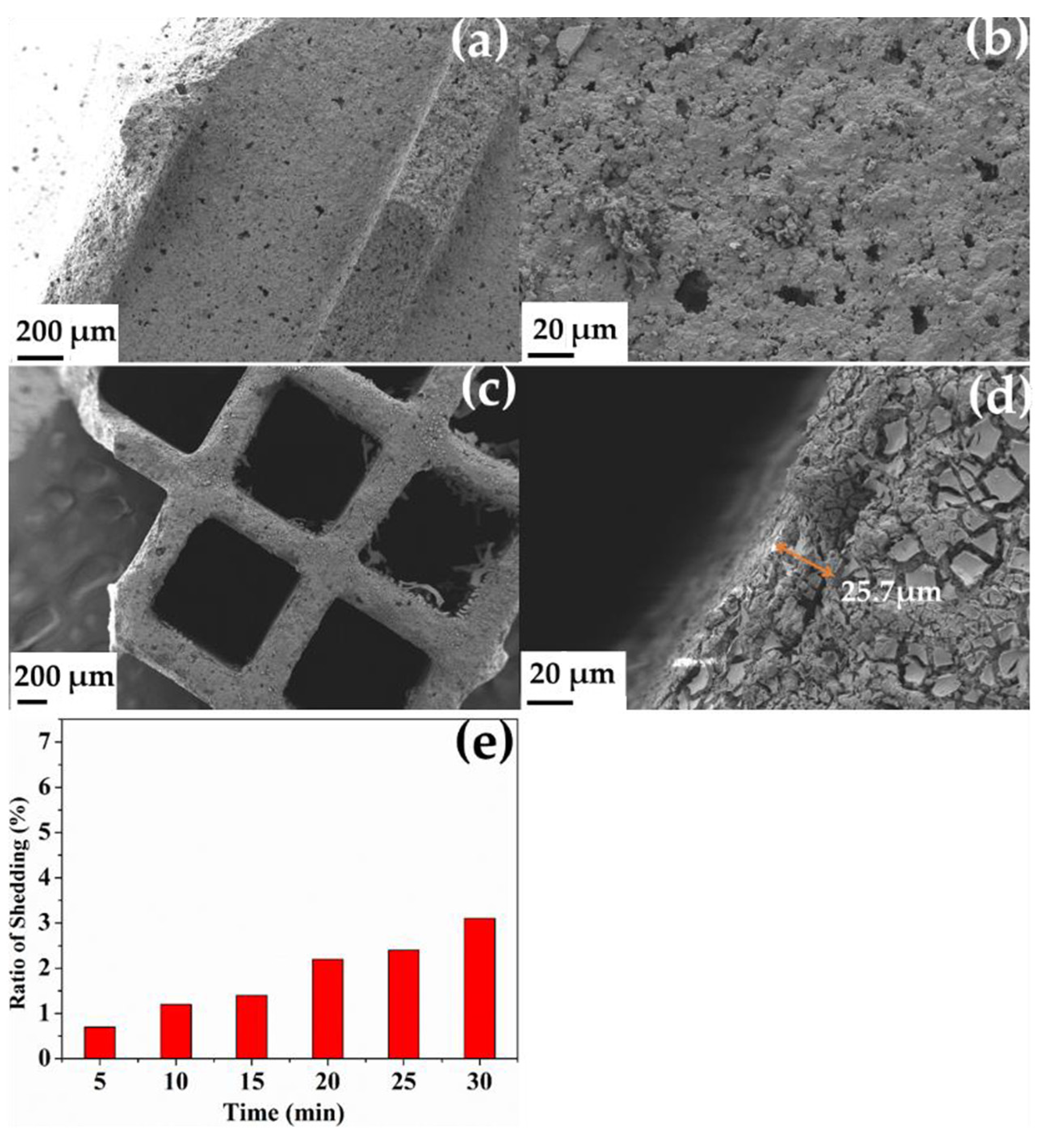 Catalysts 12 00295 g004