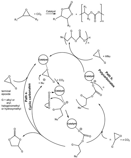 Utilization of CO2-Available Organocatalysts for Reactions