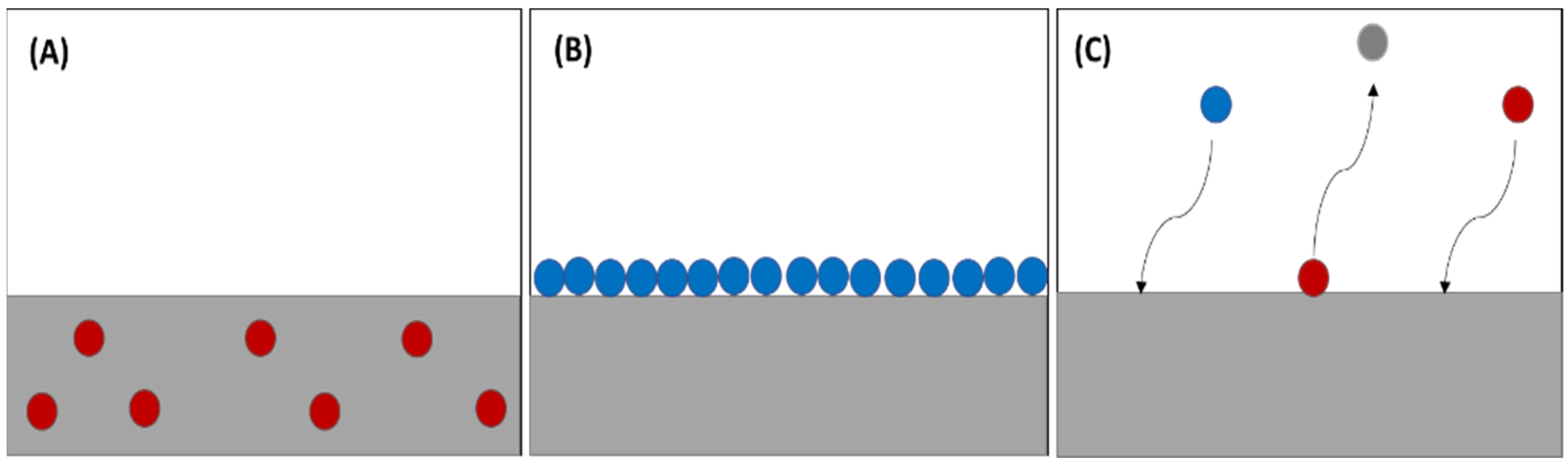 Catalysts 12 00300 g002 Catalysts 12 00300 g002