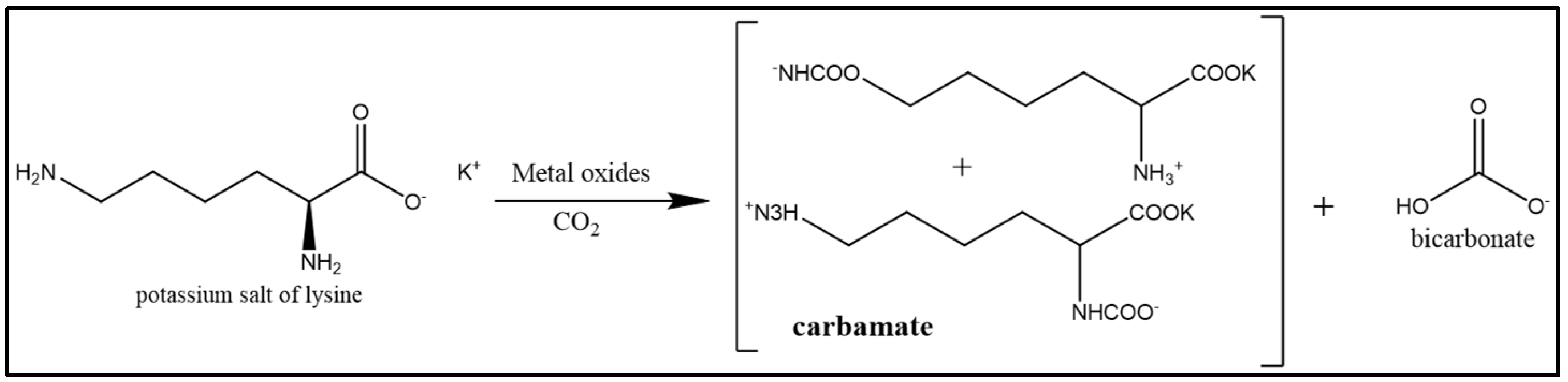 Catalysts 12 00300 g003 550