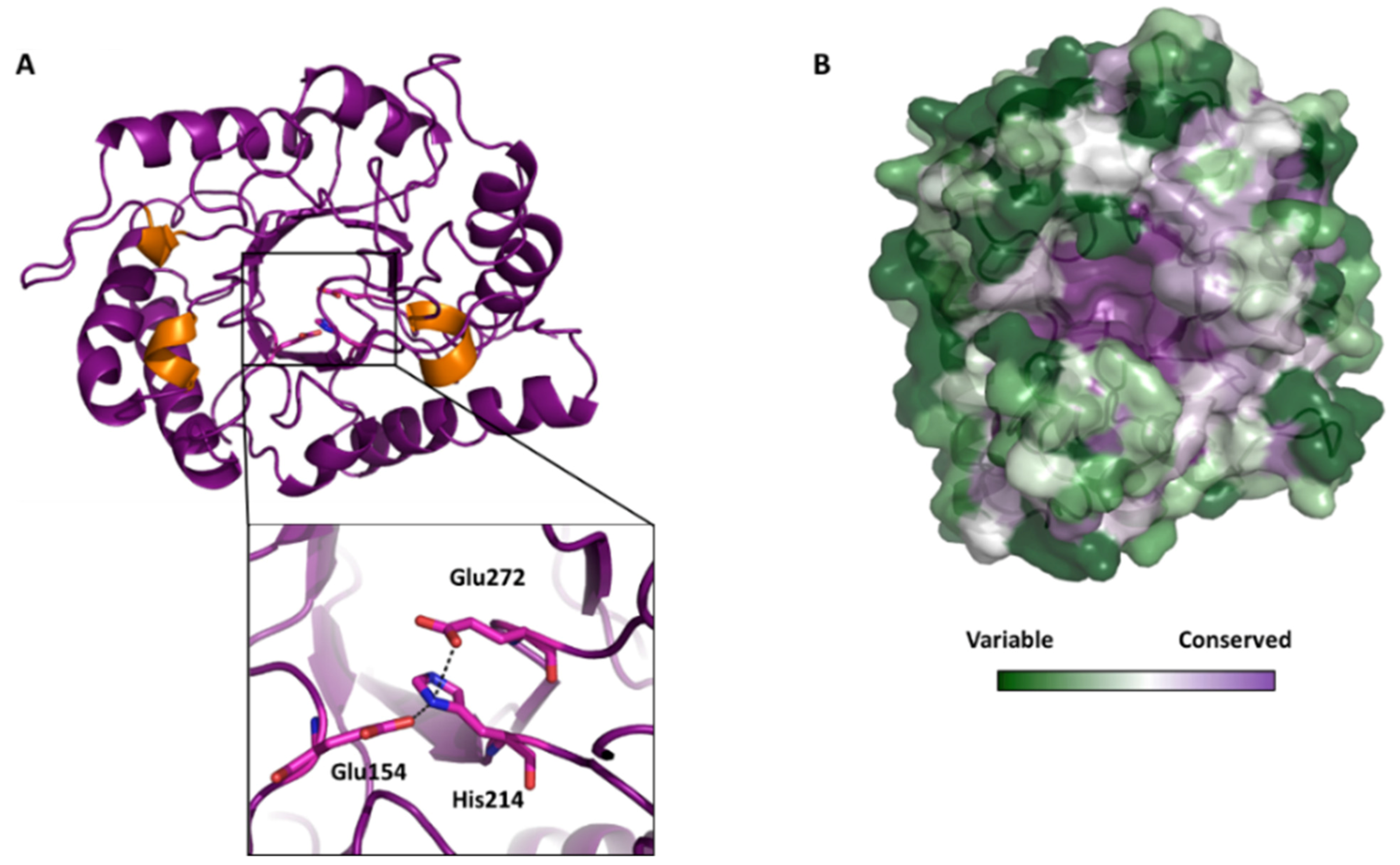 Catalysts 12 00302 g003 550