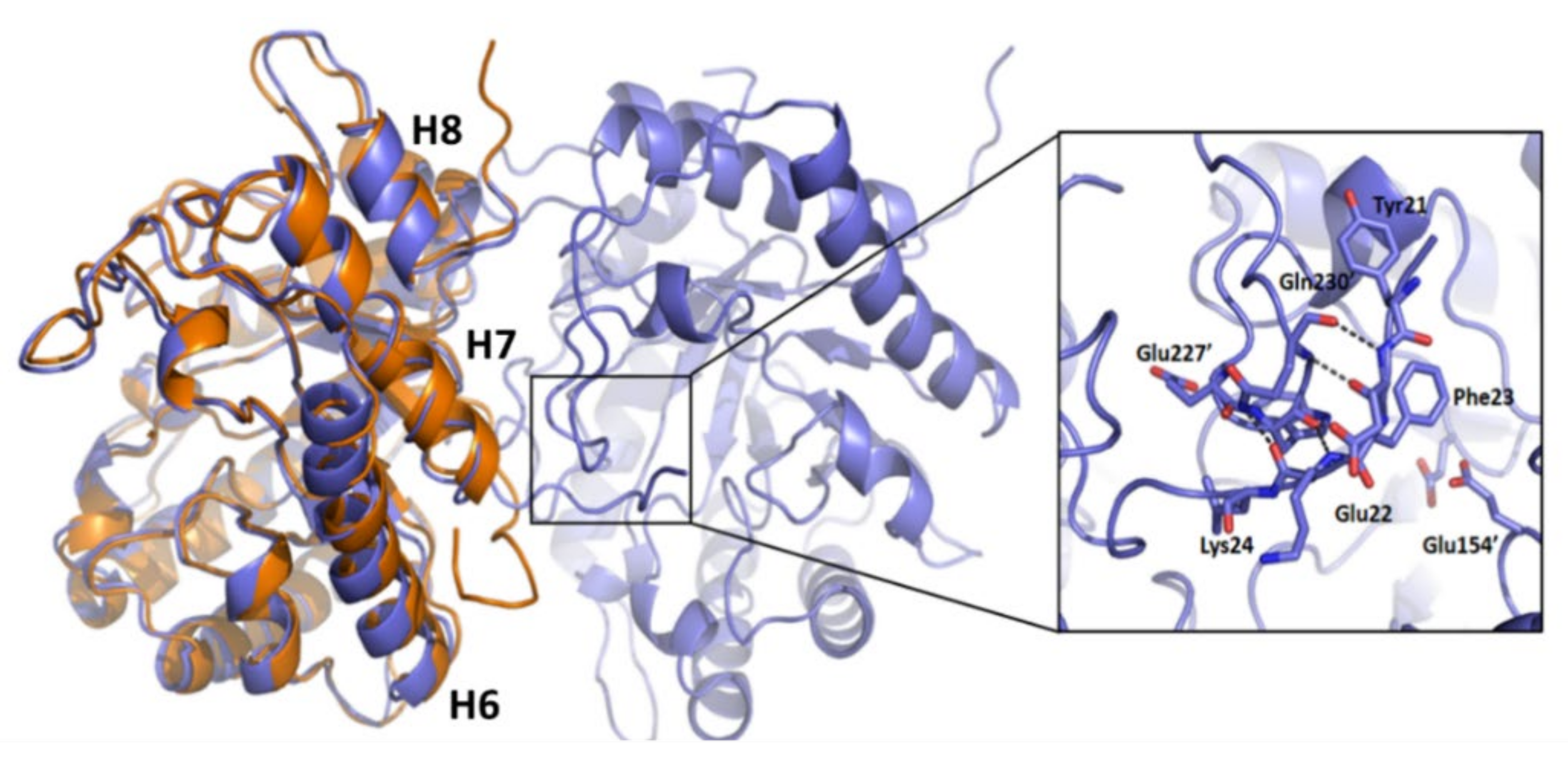 Catalysts 12 00302 g004 550