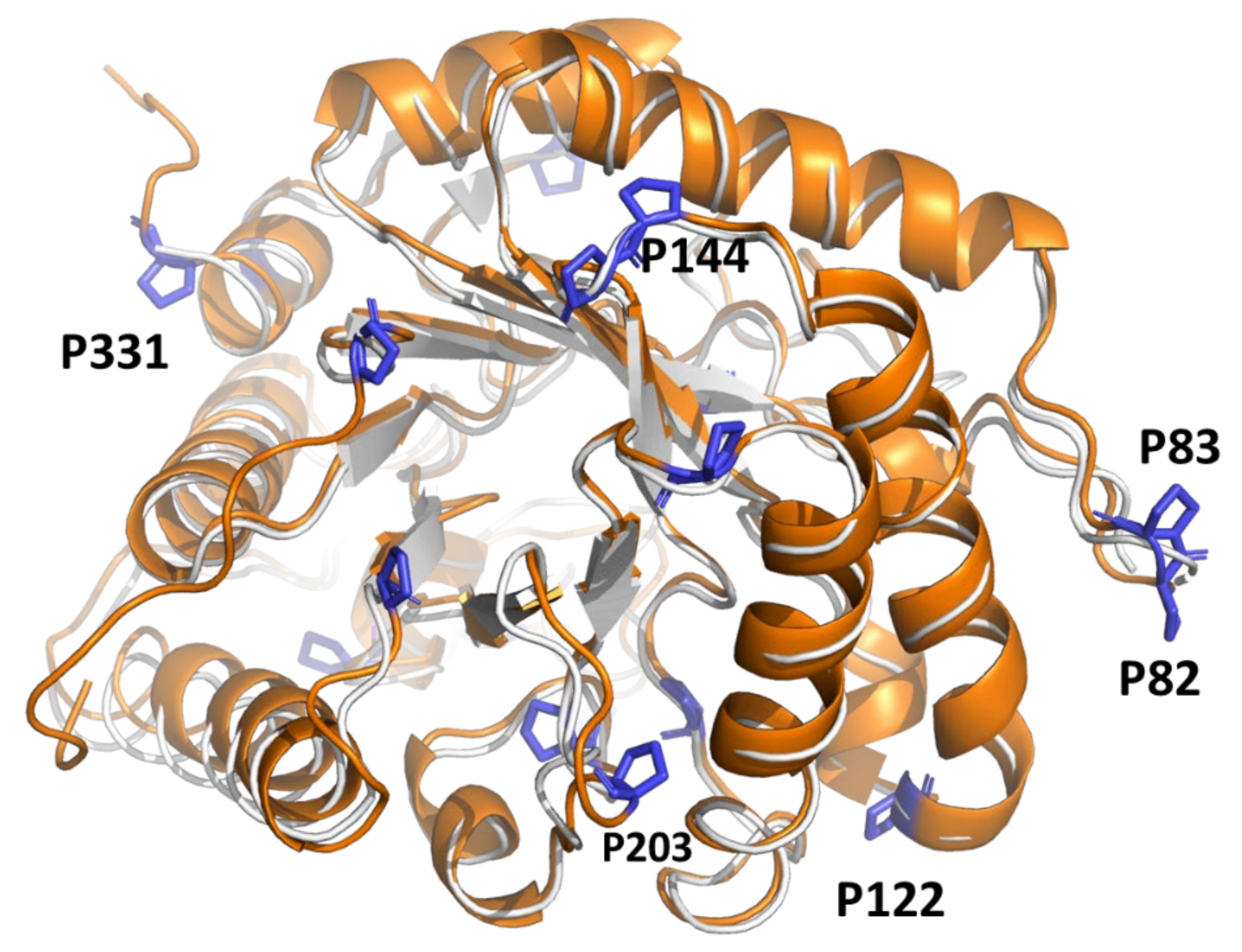 Catalysts 12 00302 g005 550