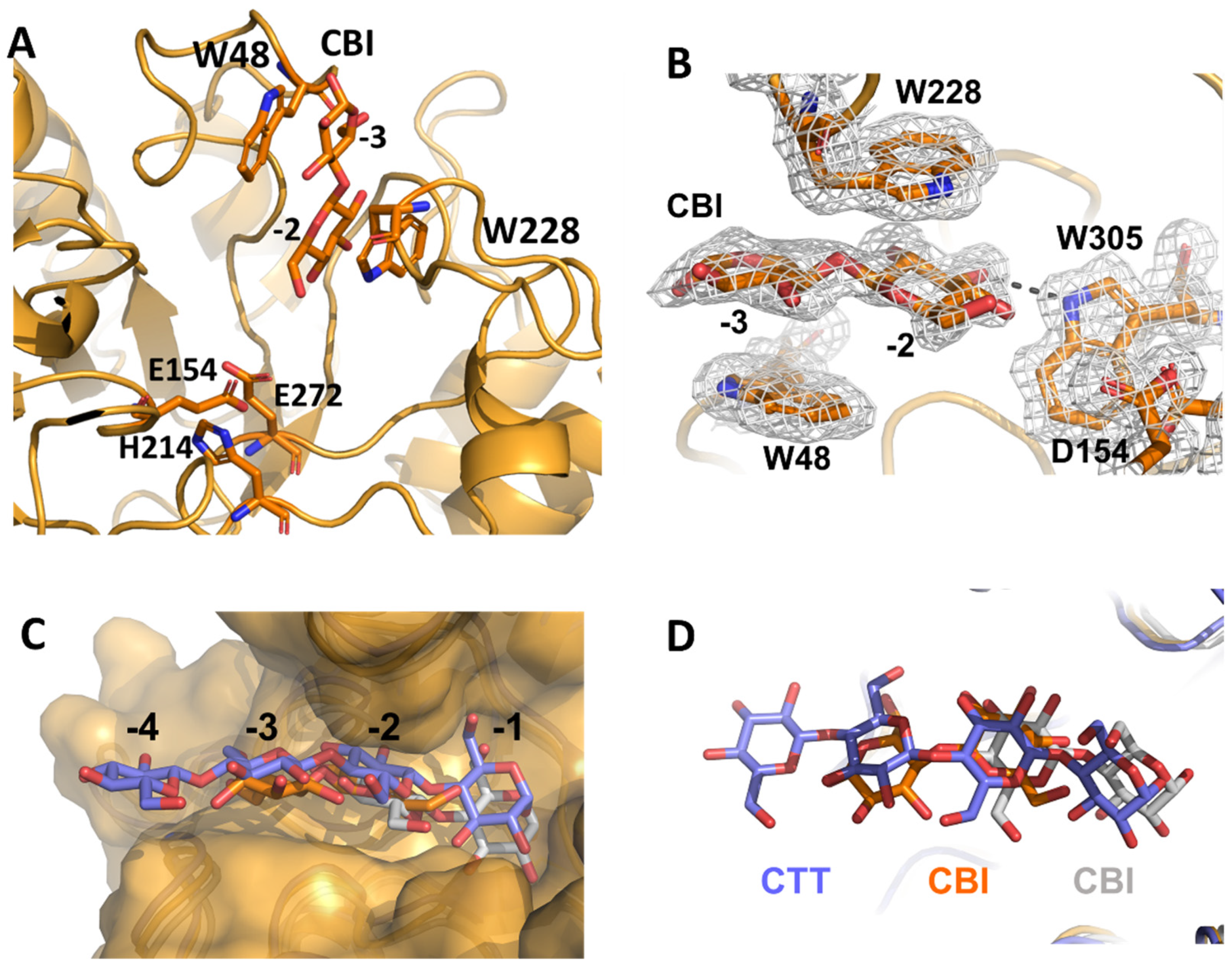 Catalysts 12 00302 g006 550