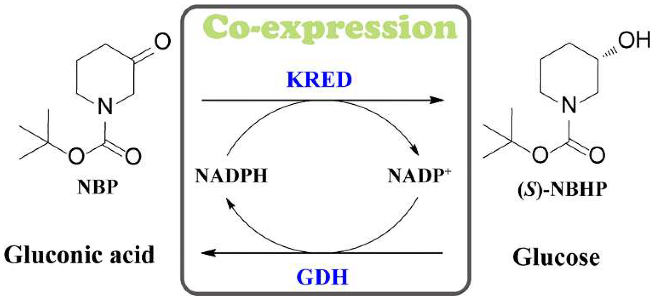 Catalysts 12 00304 sch001 550