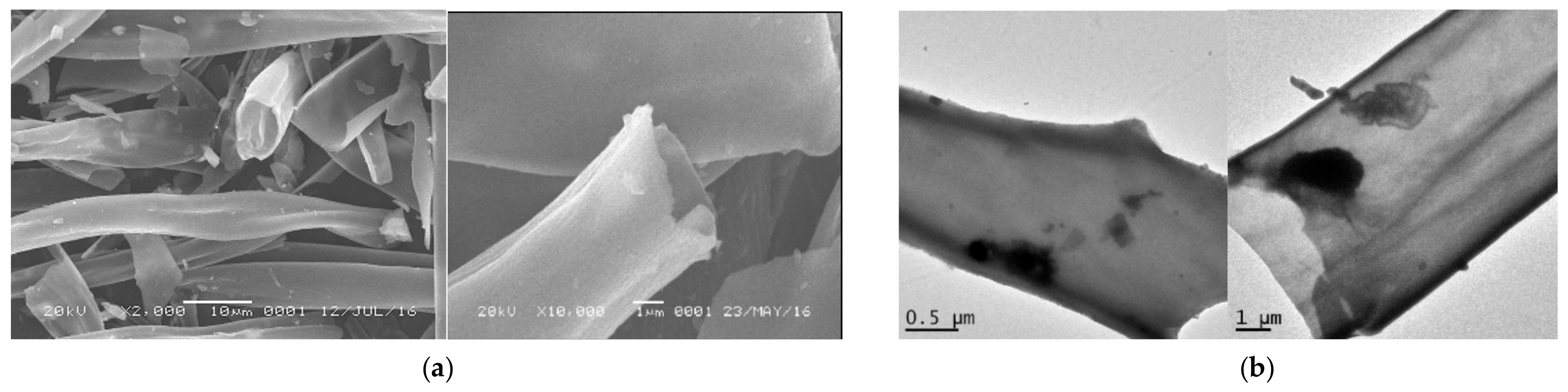 Catalysts 12 00305 g003