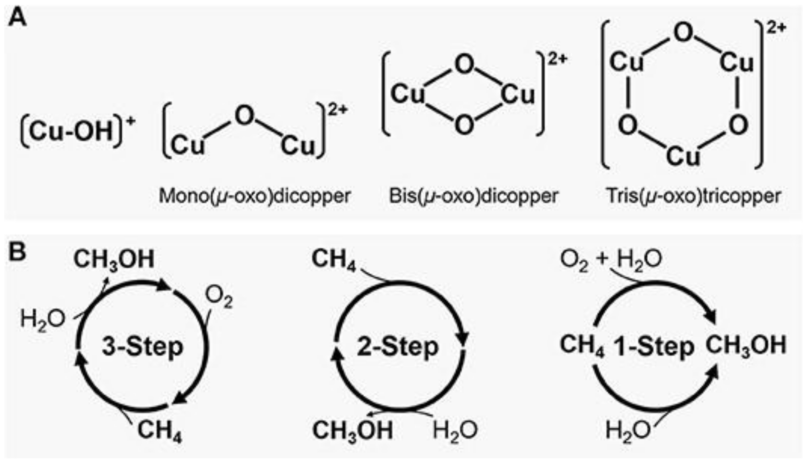 Catalysts 12 00314 g011 Catalysts 12 00314 g011