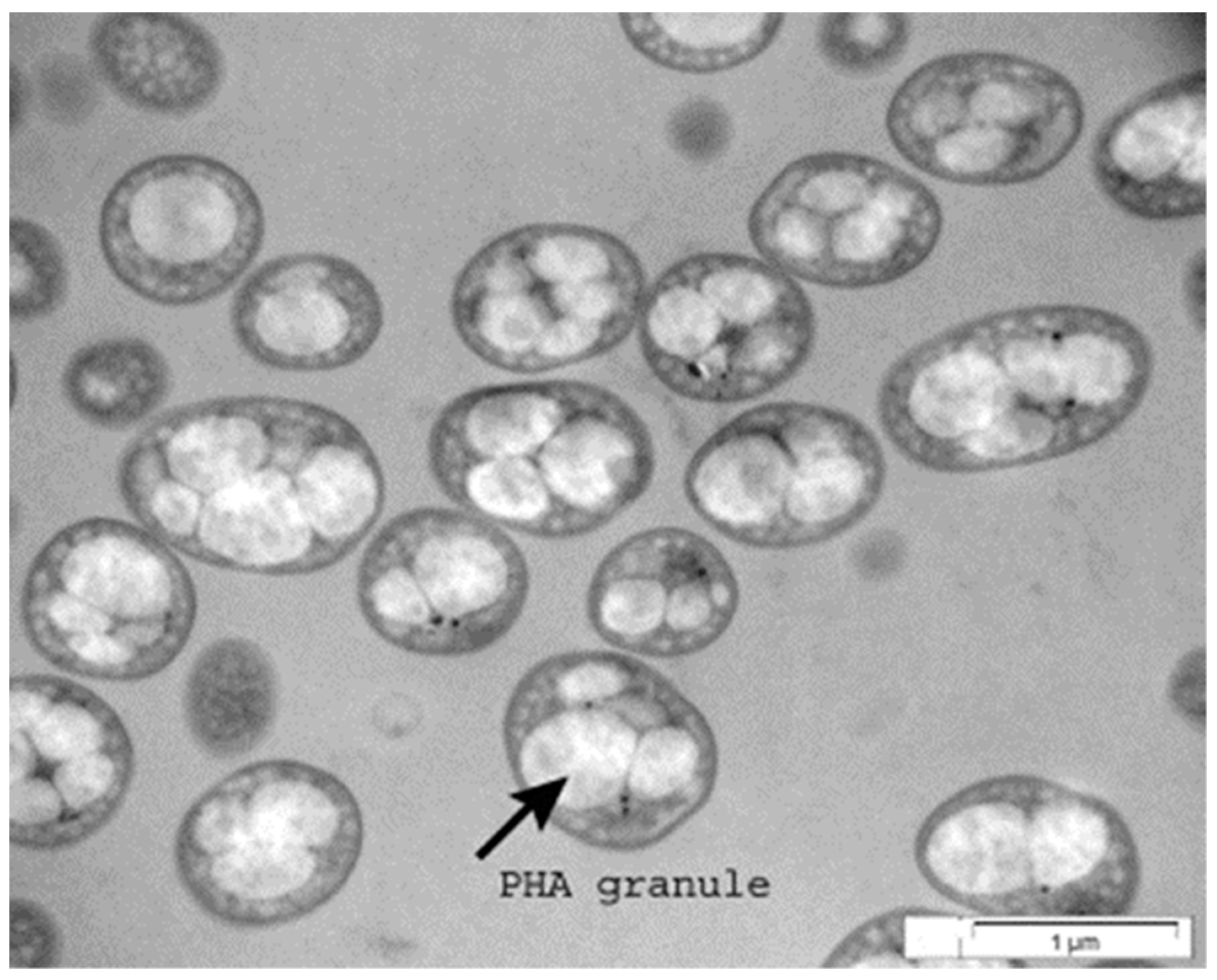 Catalysts 12 00319 g001 Catalysts 12 00319 g001