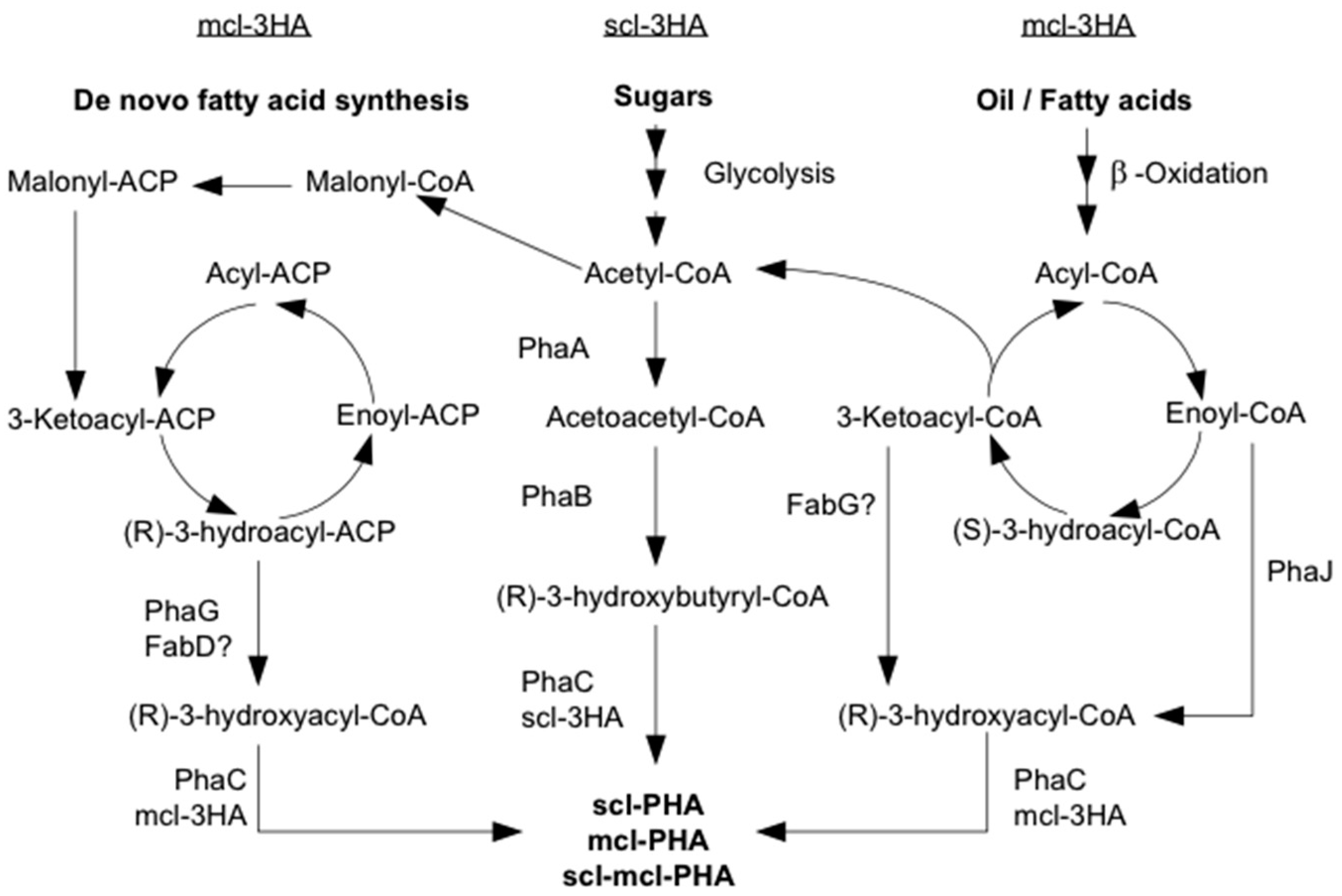 Catalysts 12 00319 g003 Catalysts 12 00319 g003