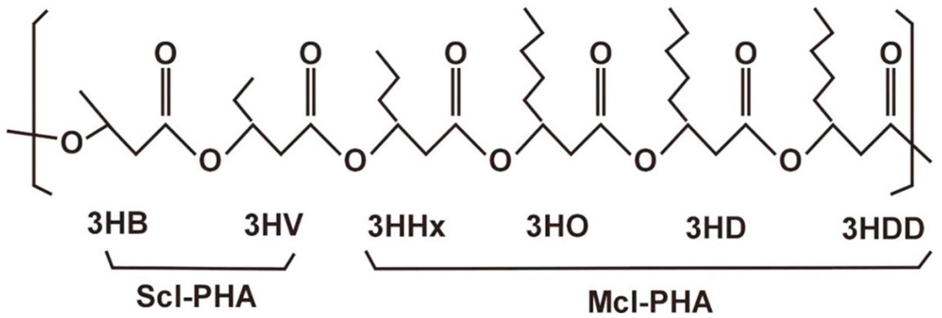 Catalysts 12 00319 g005 Catalysts 12 00319 g005