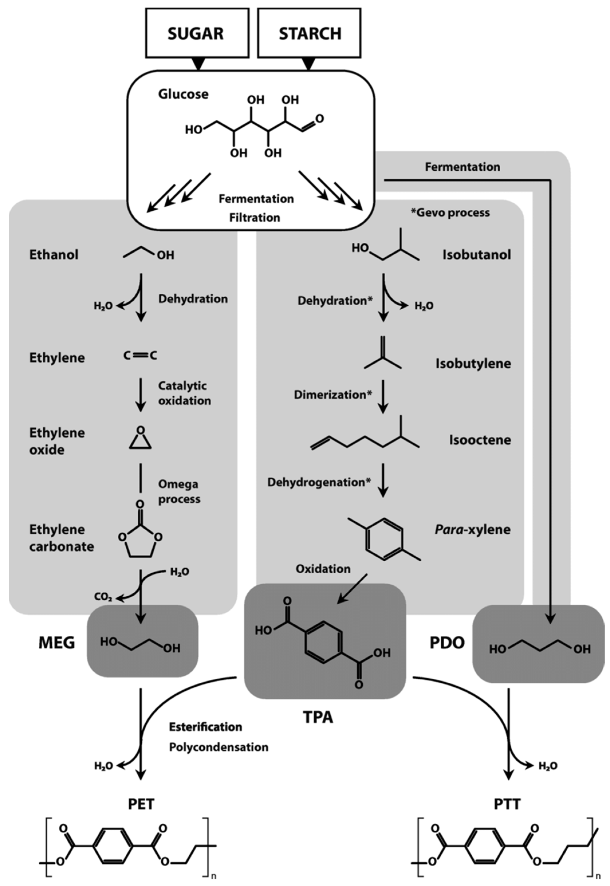 Catalysts 12 00319 g007 Catalysts 12 00319 g007