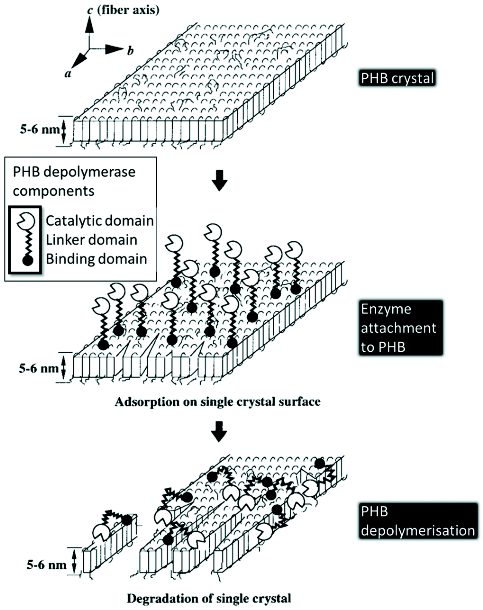 Catalysts 12 00319 g008 Catalysts 12 00319 g008