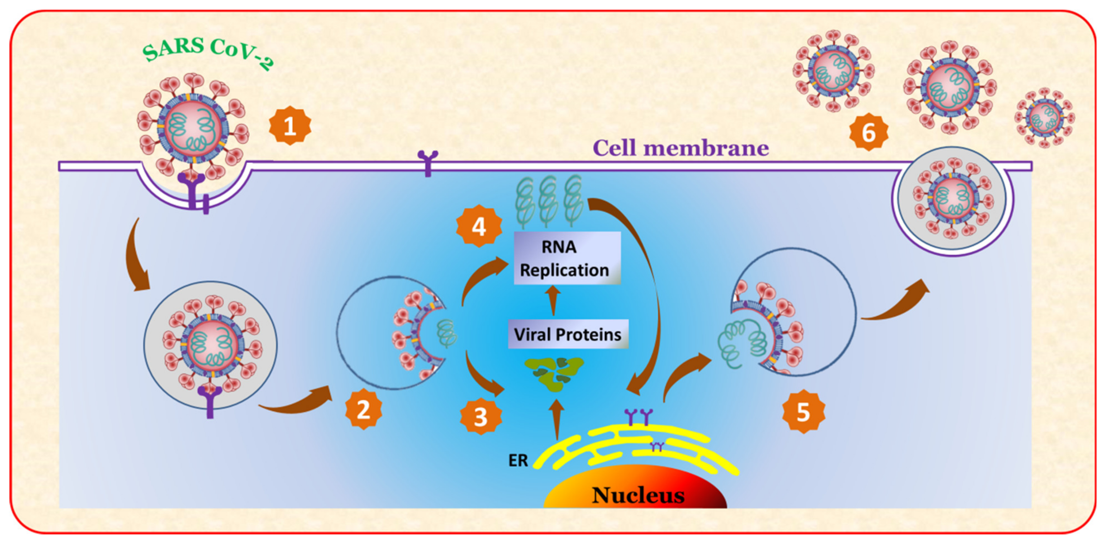 Catalysts 12 00326 g001