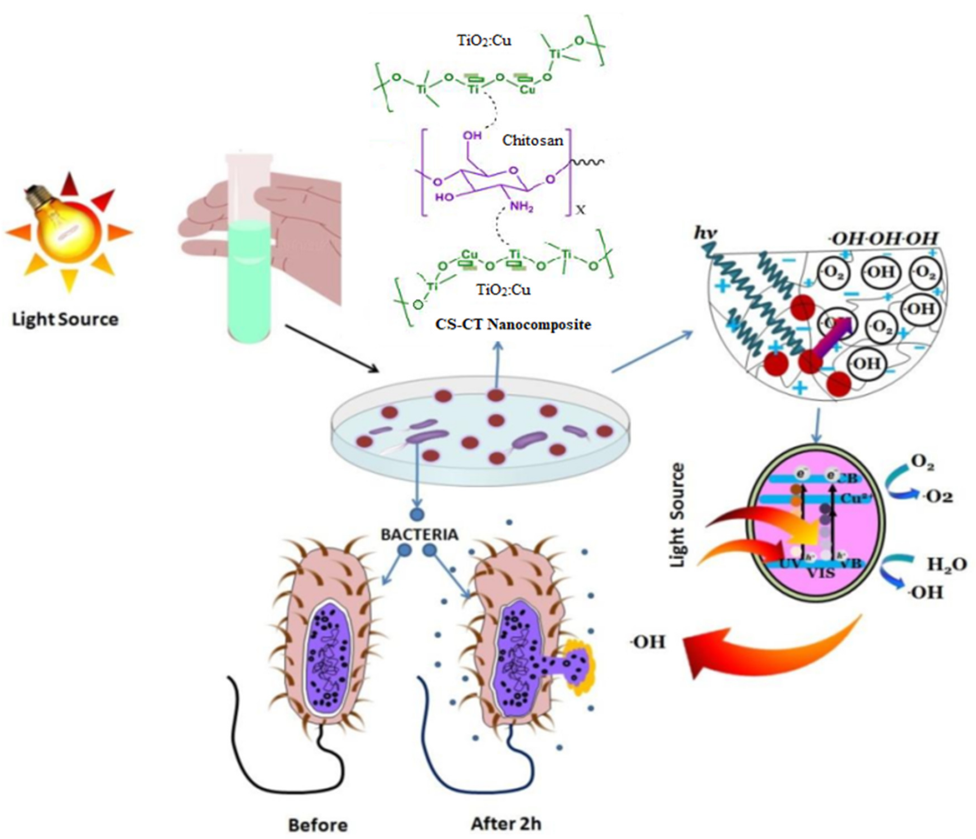 Catalysts 12 00326 g005
