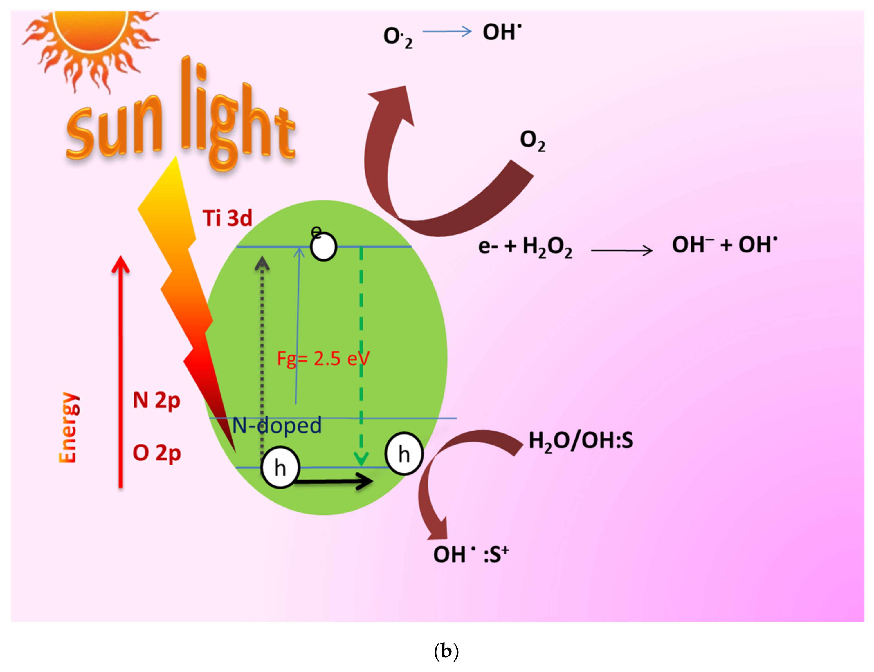 Catalysts 12 00326 g006b