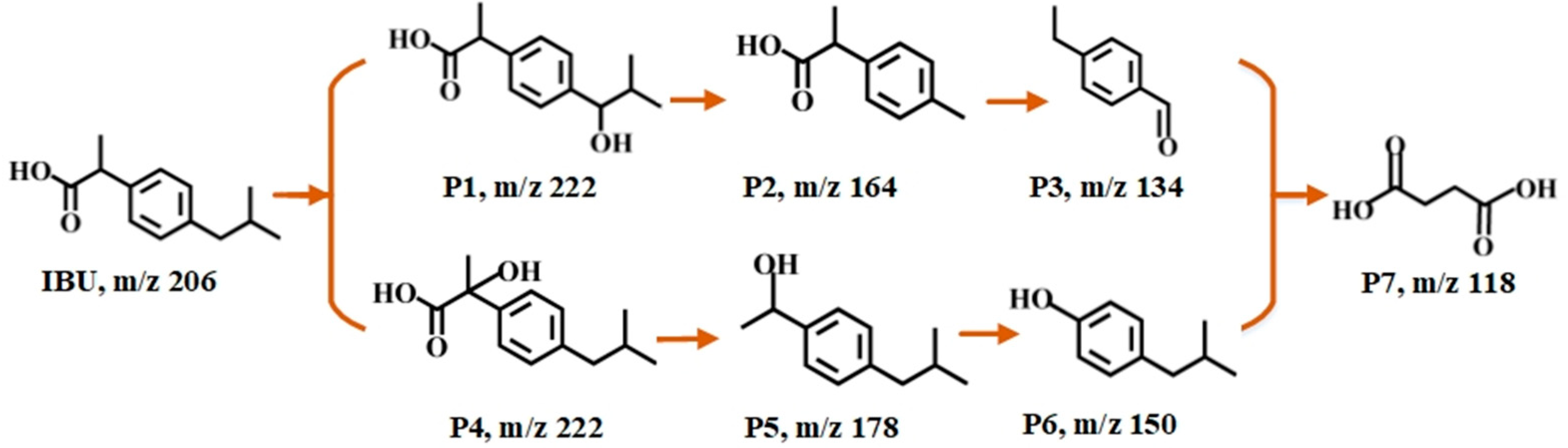 Catalysts 12 00329 g007 550