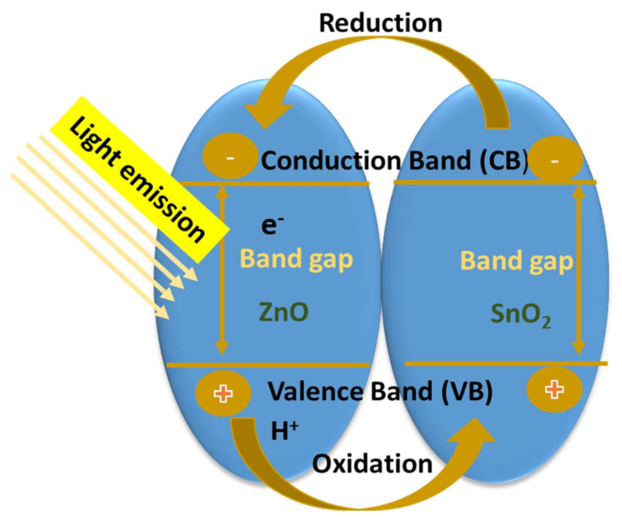 Catalysts 12 00334 g008 550
