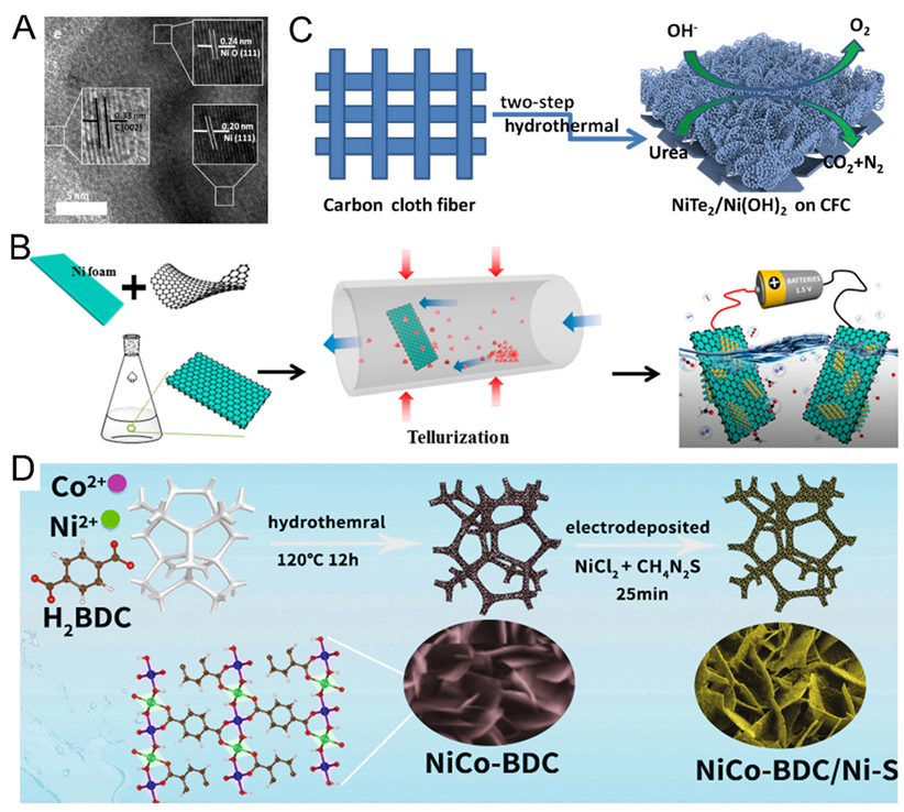 Catalysts 12 00337 g005