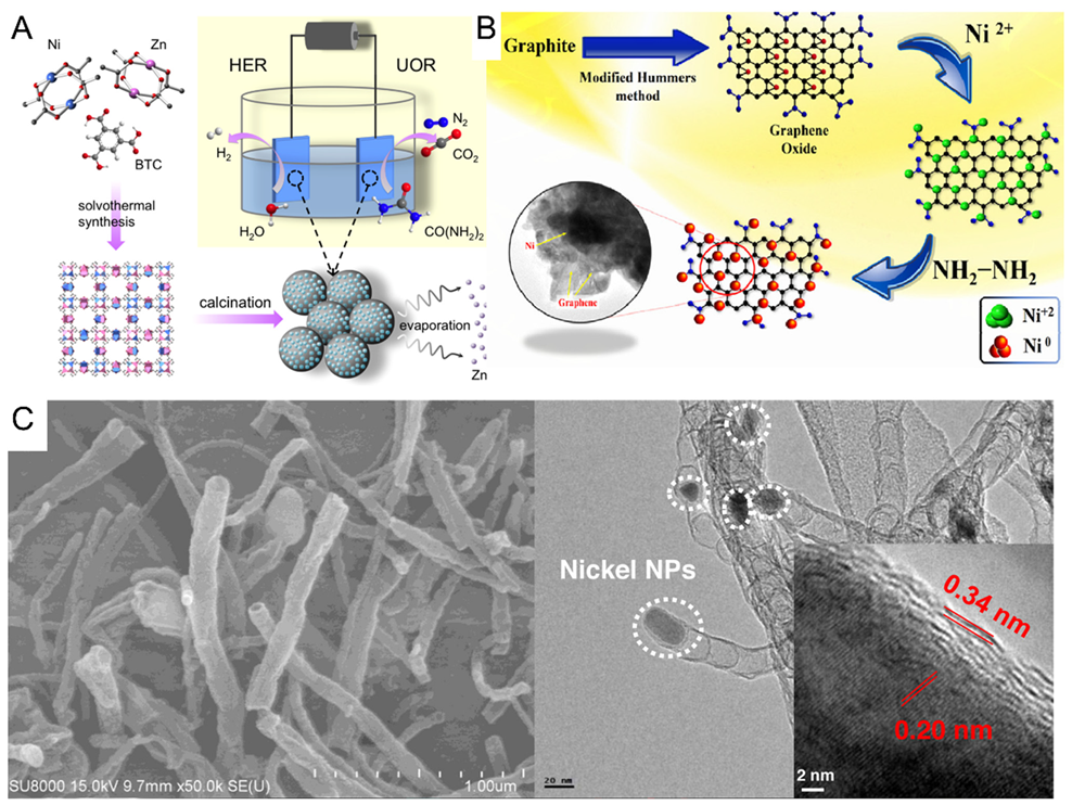 Catalysts 12 00337 g009