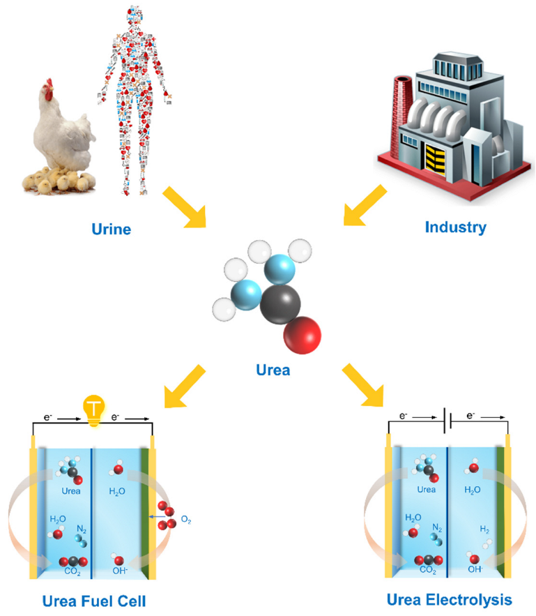 Catalysts 12 00337 sch001