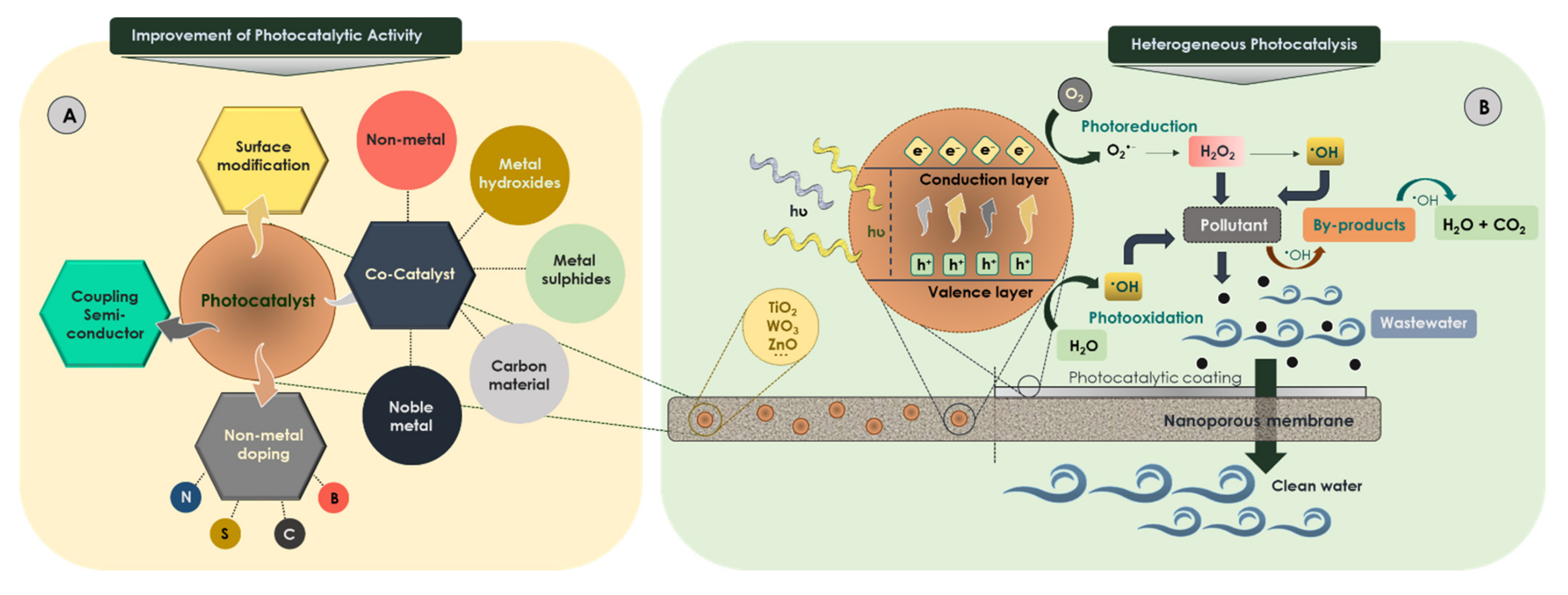 Catalysts 12 00344 g004