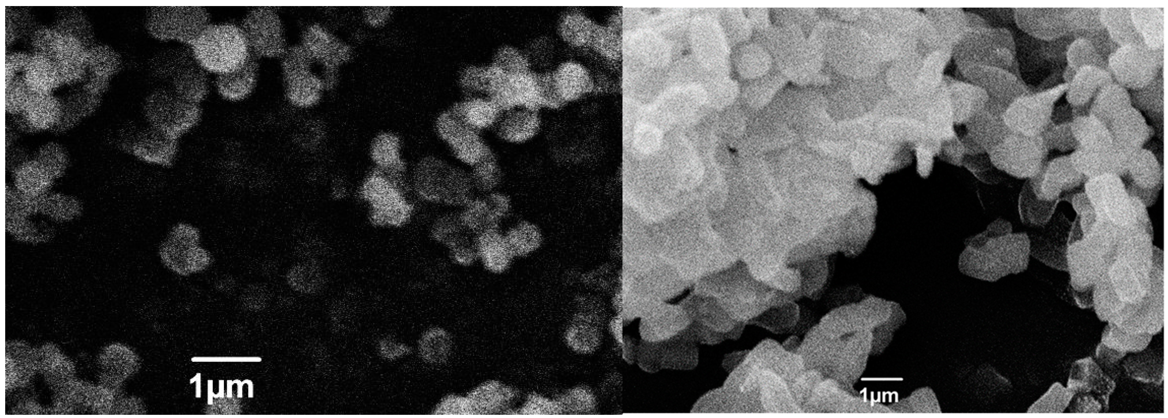 Catalysts 12 00350 g002