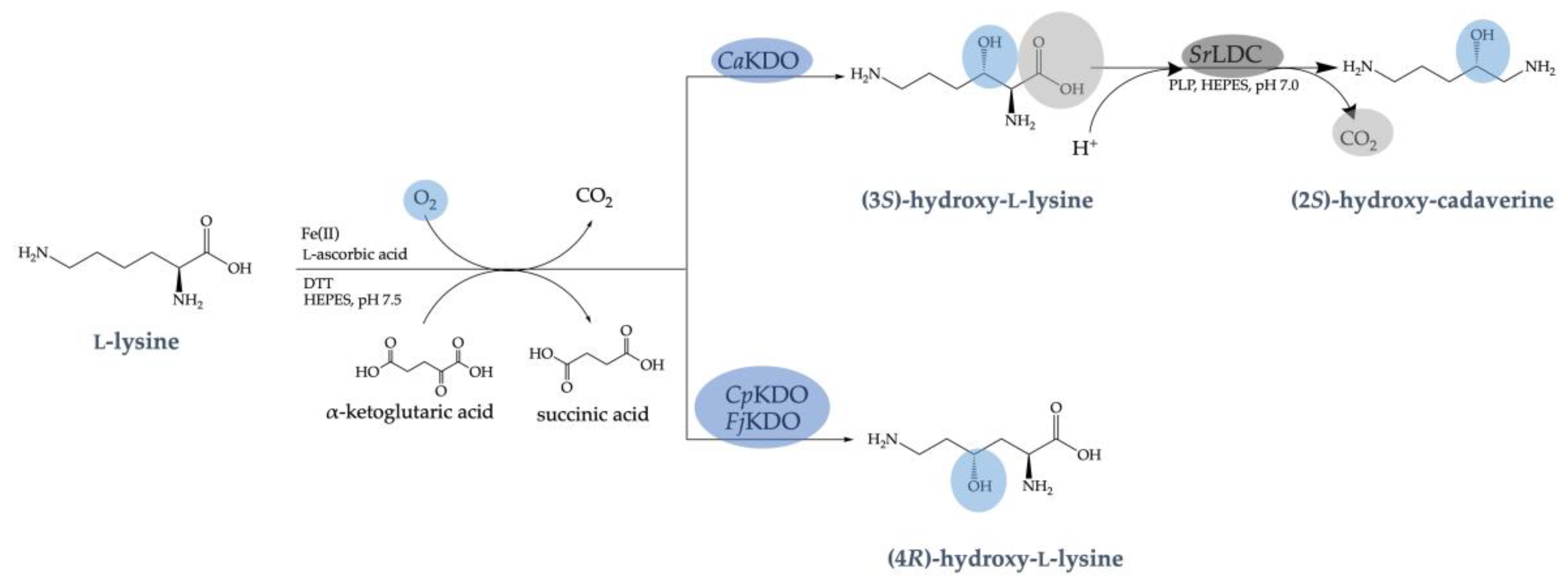 Catalysts 12 00354 g001 Catalysts 12 00354 g001