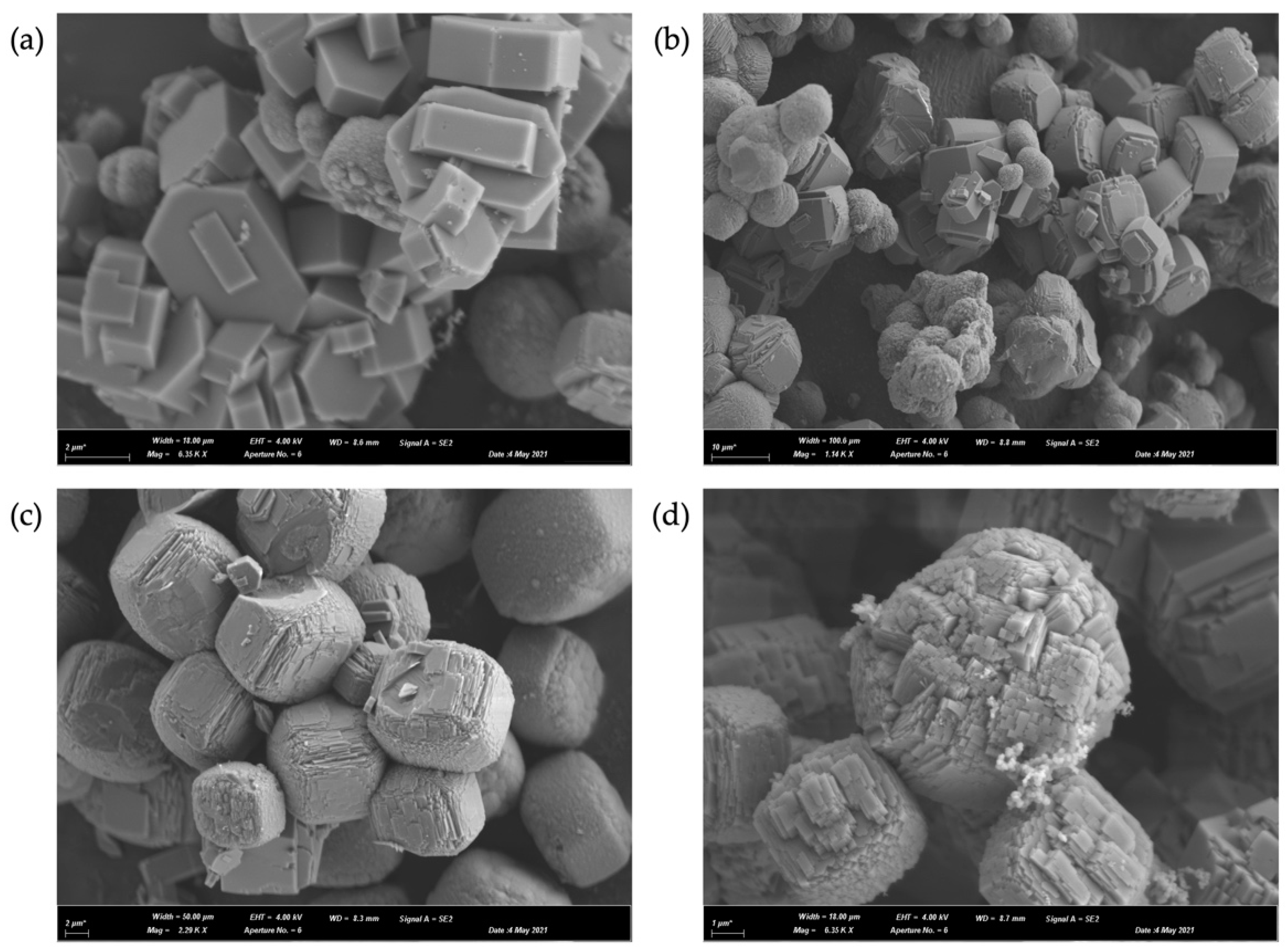 Catalysts 12 00368 g004