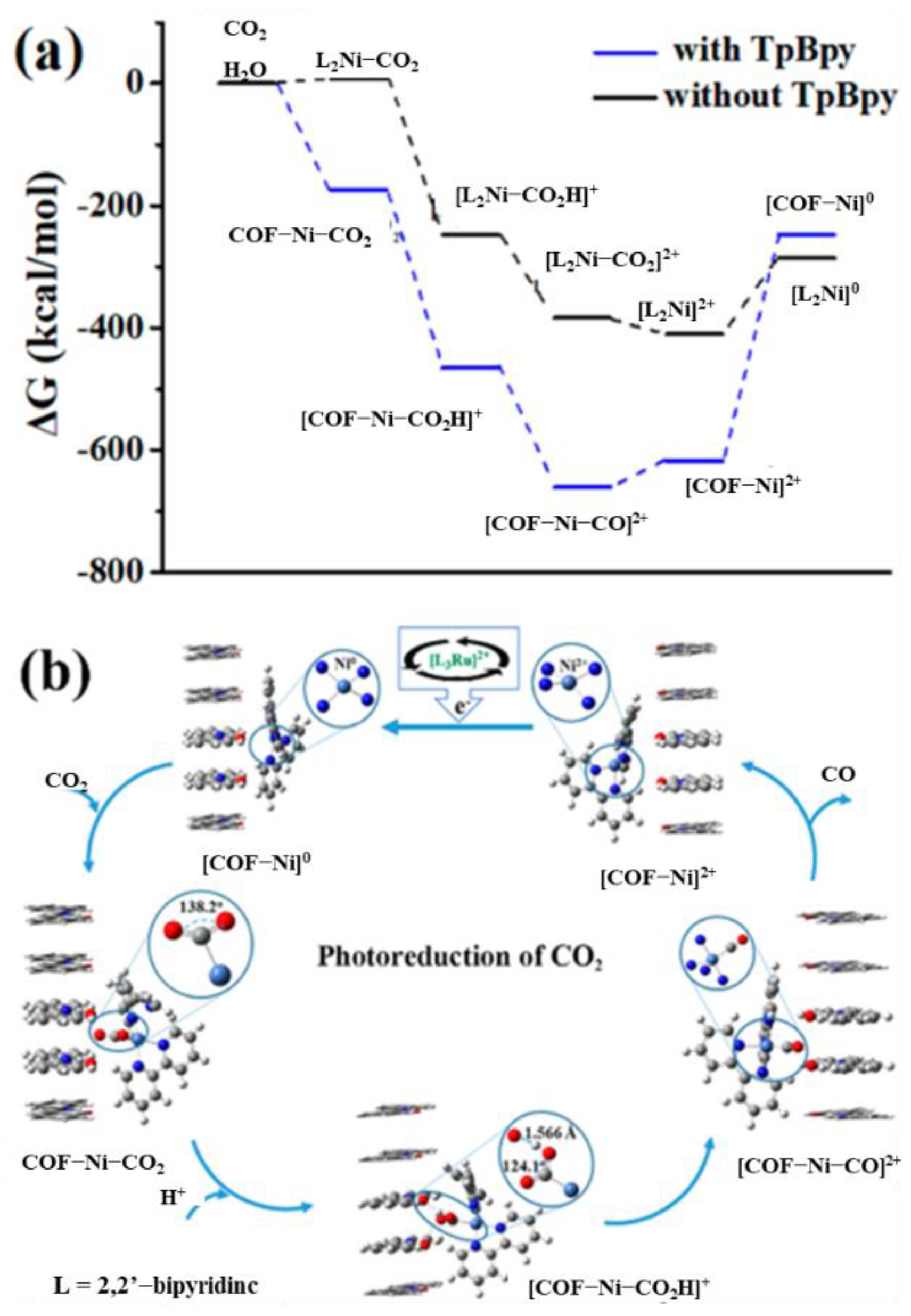 Catalysts 12 00372 g004 550