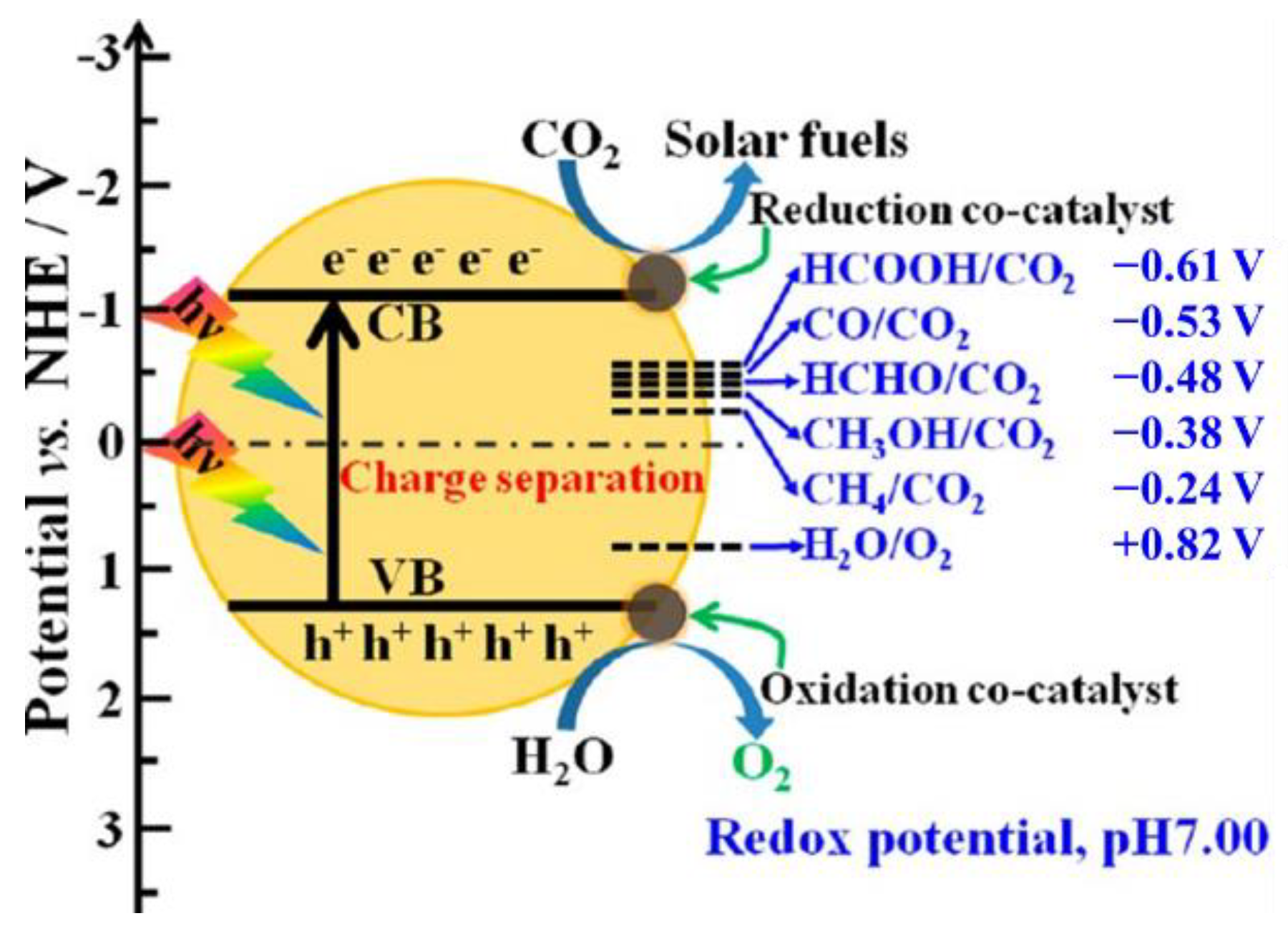 Catalysts 12 00372 g008 550