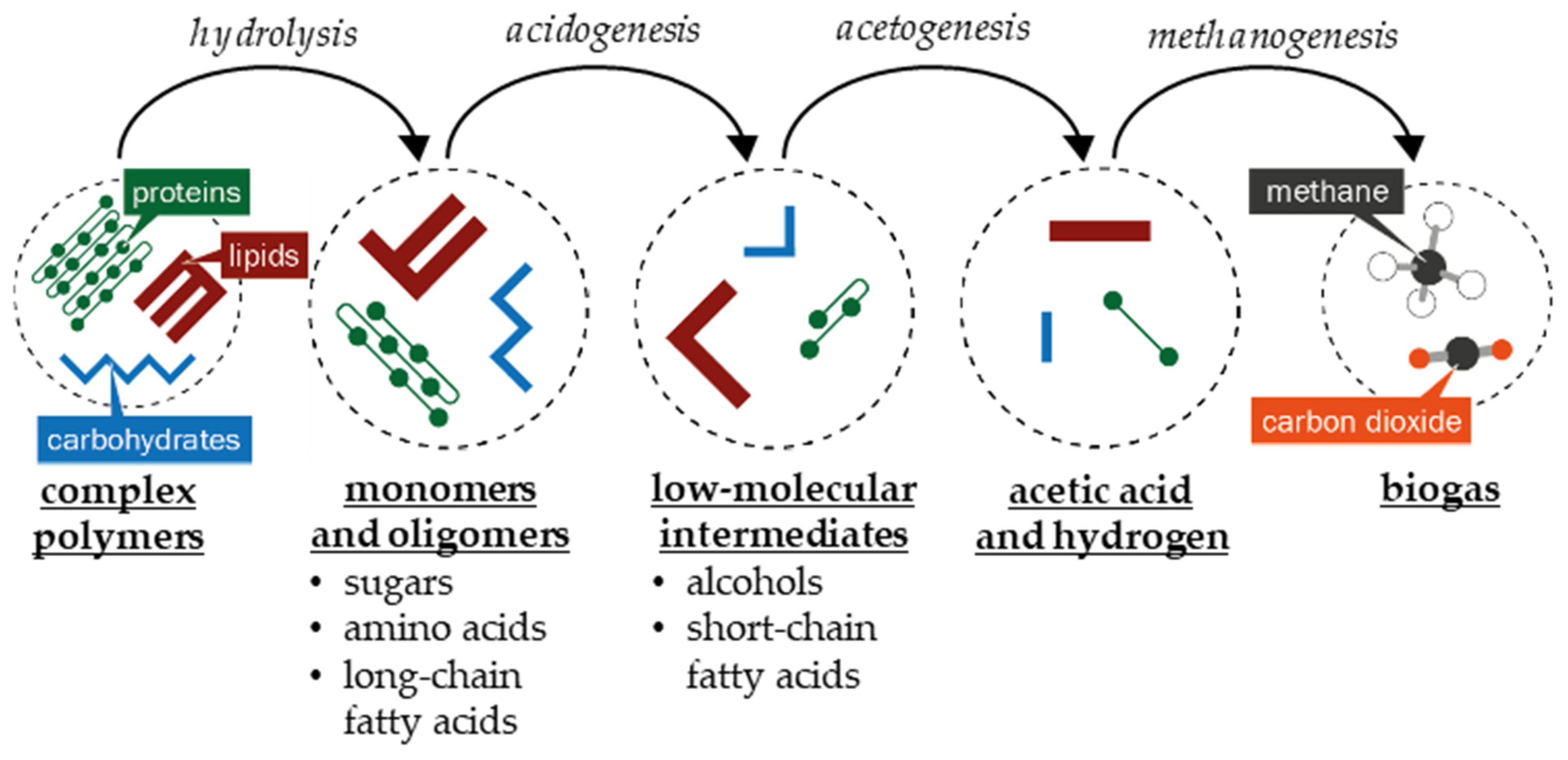Catalysts Free FullText Recent Advances in Catalysis for