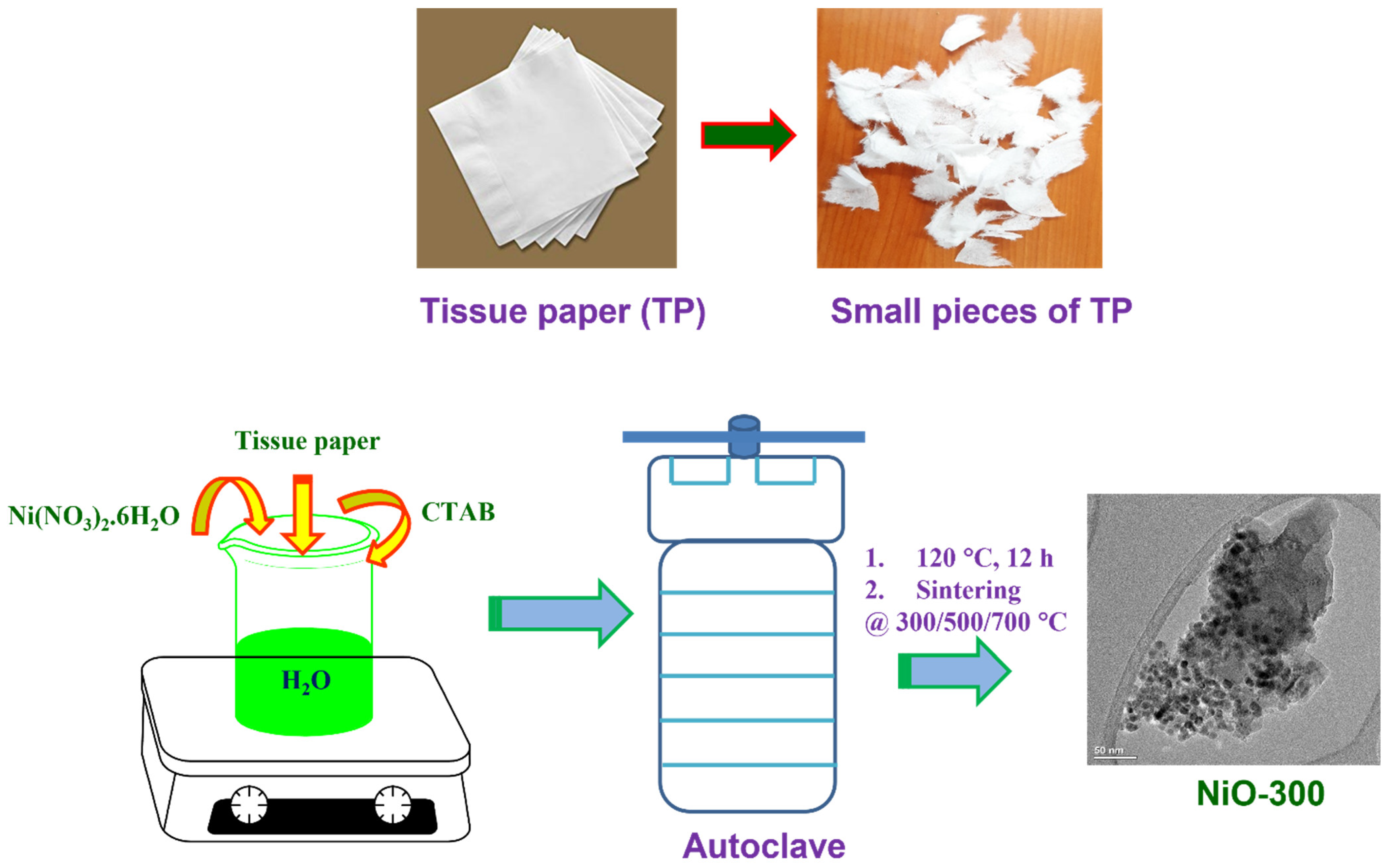 Catalysts 12 00375 g001 550