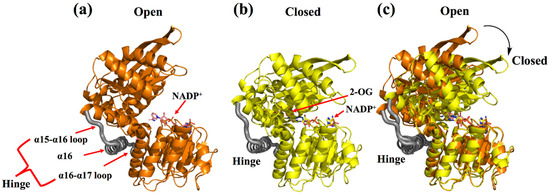 aminaseページ AMBIDEX Store △〇lasew ベスト(F キナリ): FLAT-cic-HATENA