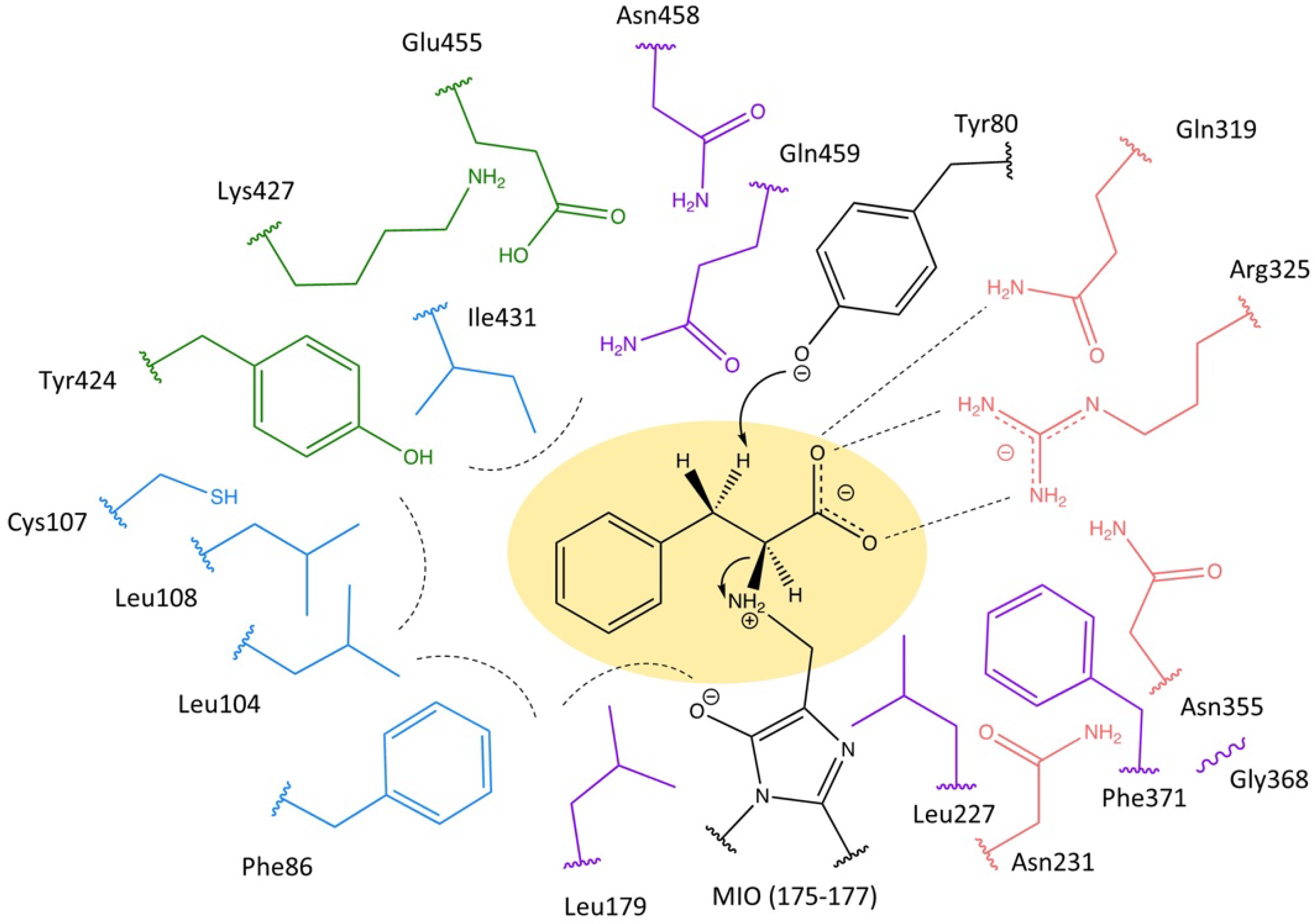 Catalysts 12 00397 g003 Catalysts 12 00397 g003