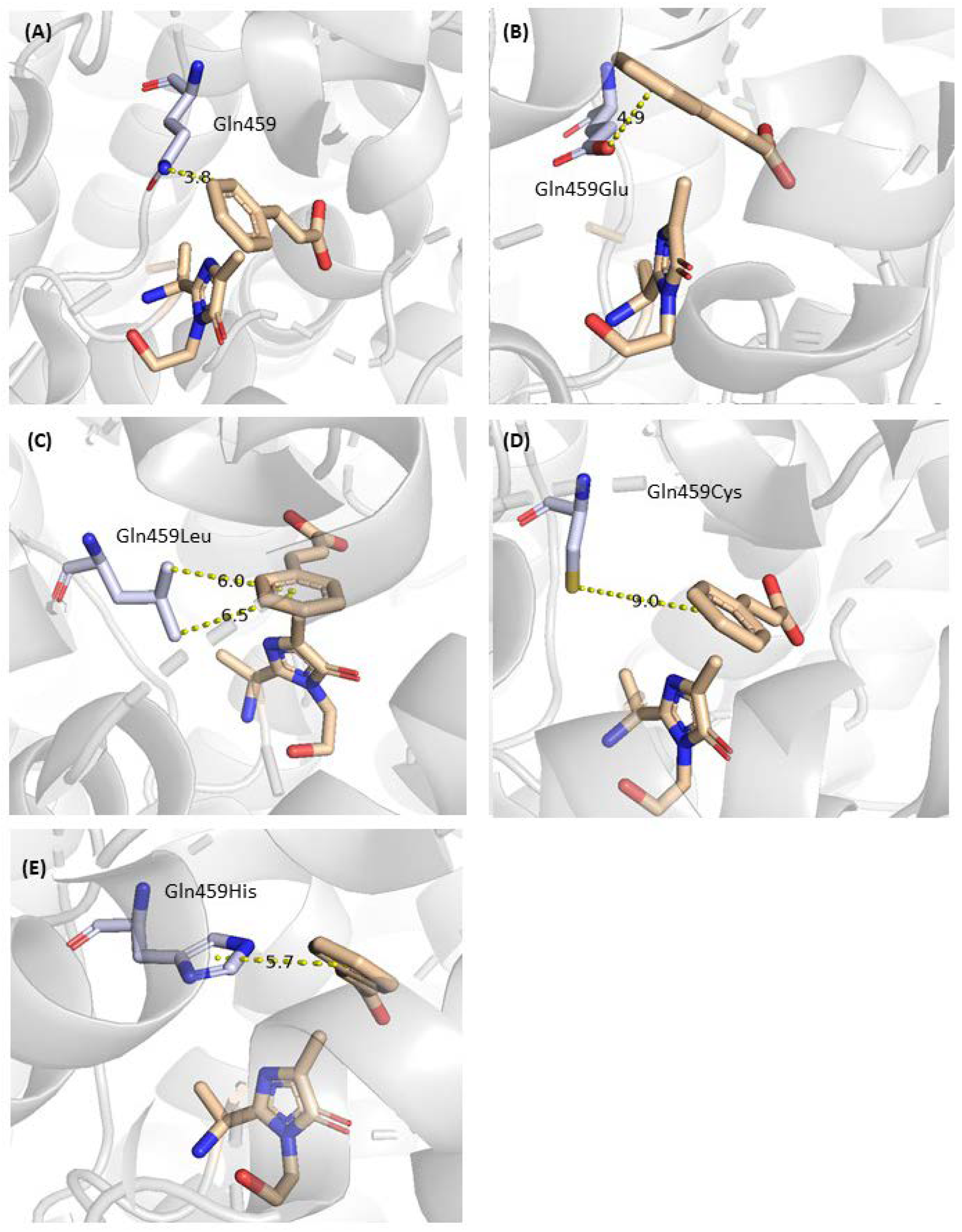 Catalysts 12 00397 g006 Catalysts 12 00397 g006