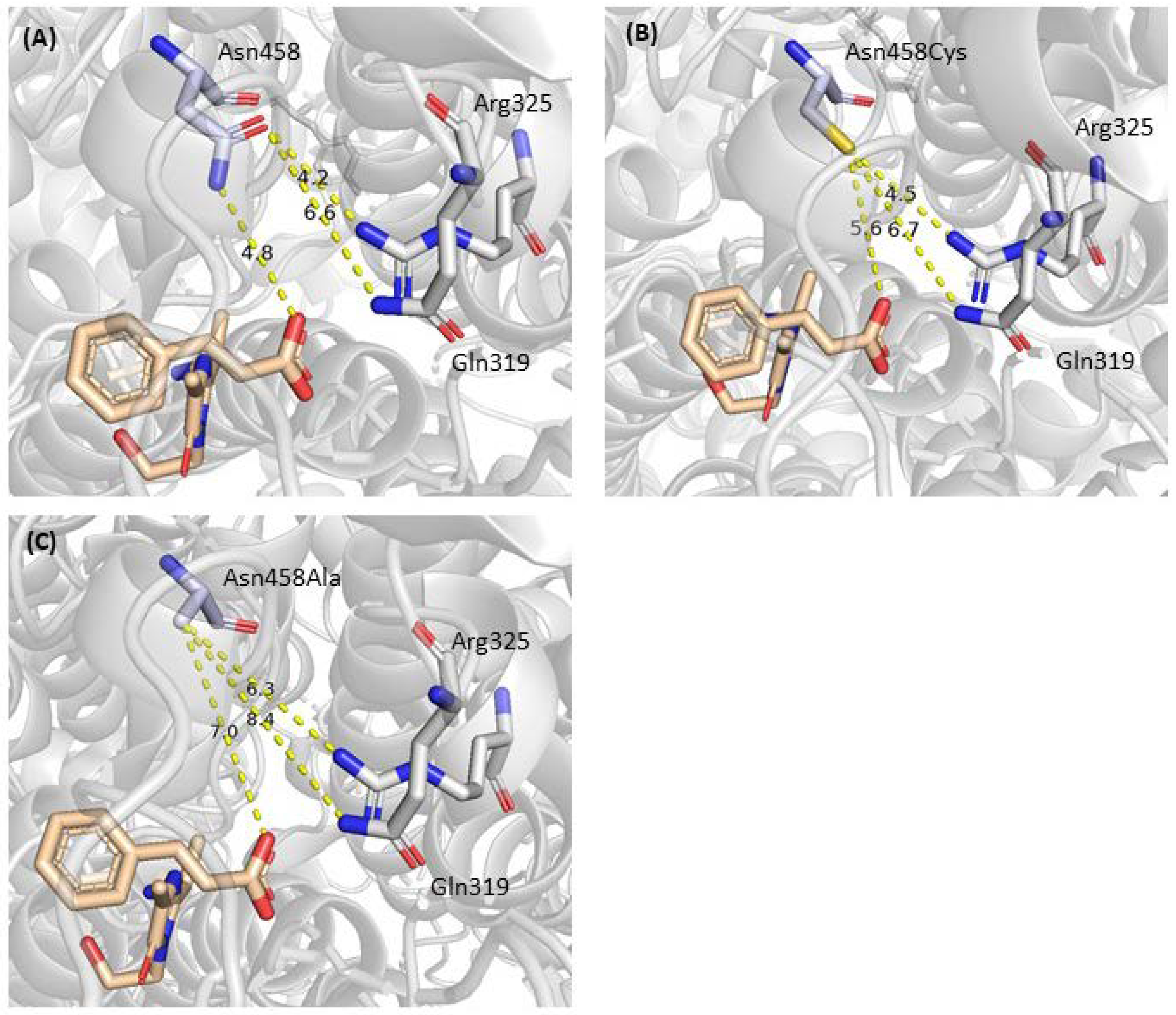 Catalysts 12 00397 g007 Catalysts 12 00397 g007