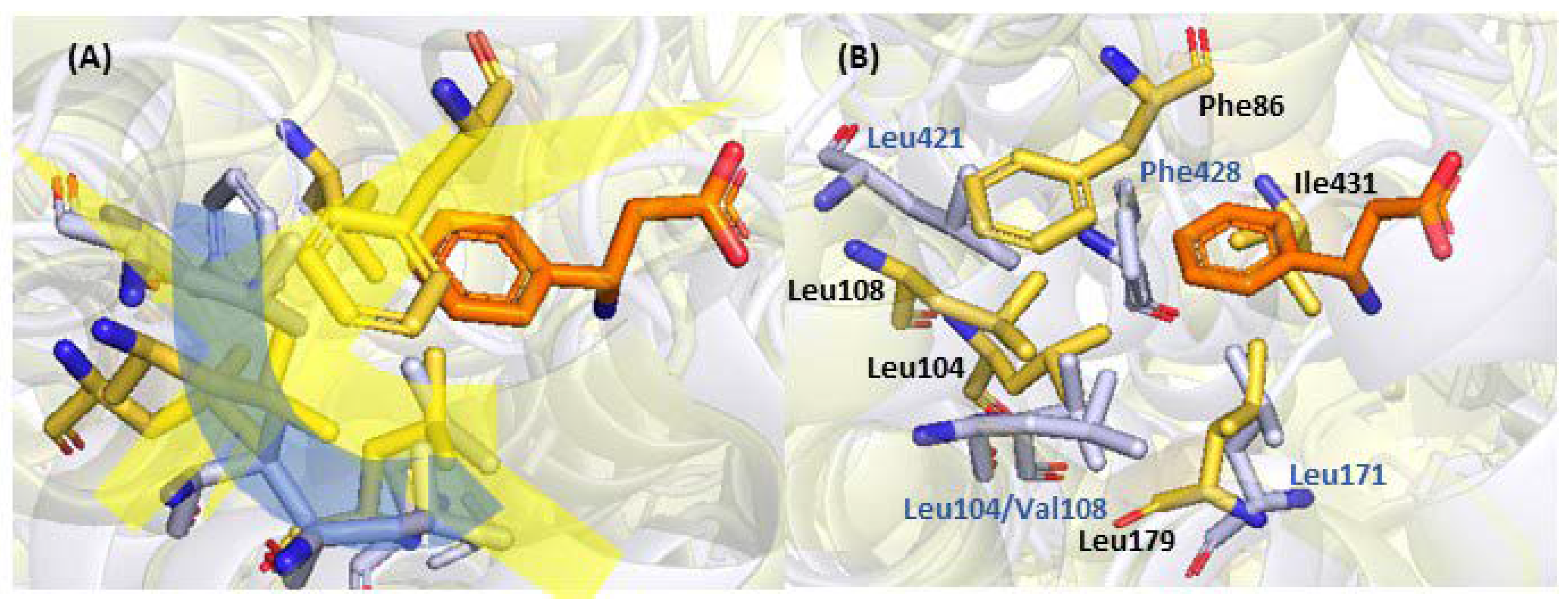 Catalysts 12 00397 g008 Catalysts 12 00397 g008