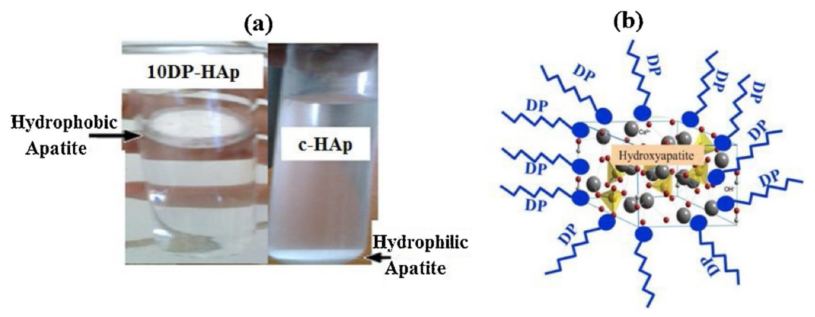 Catalysts 12 00398 g002 550