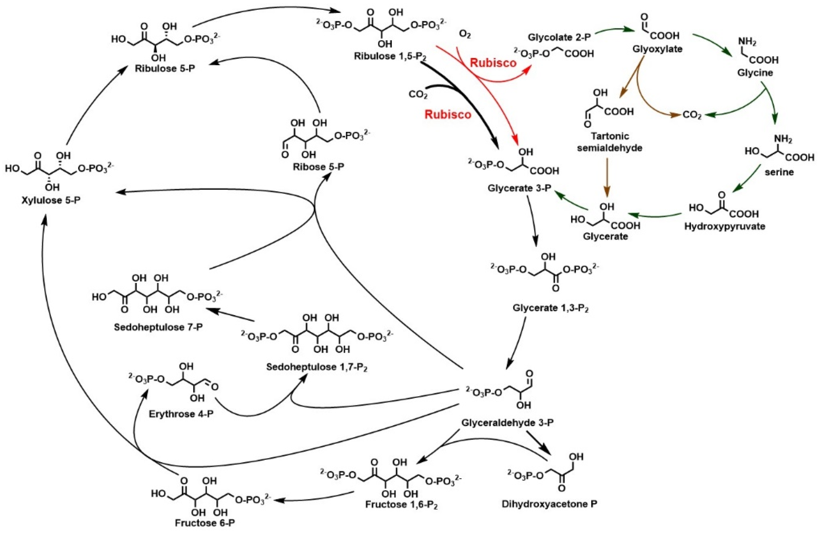 Catalysts 12 00399 g001 550