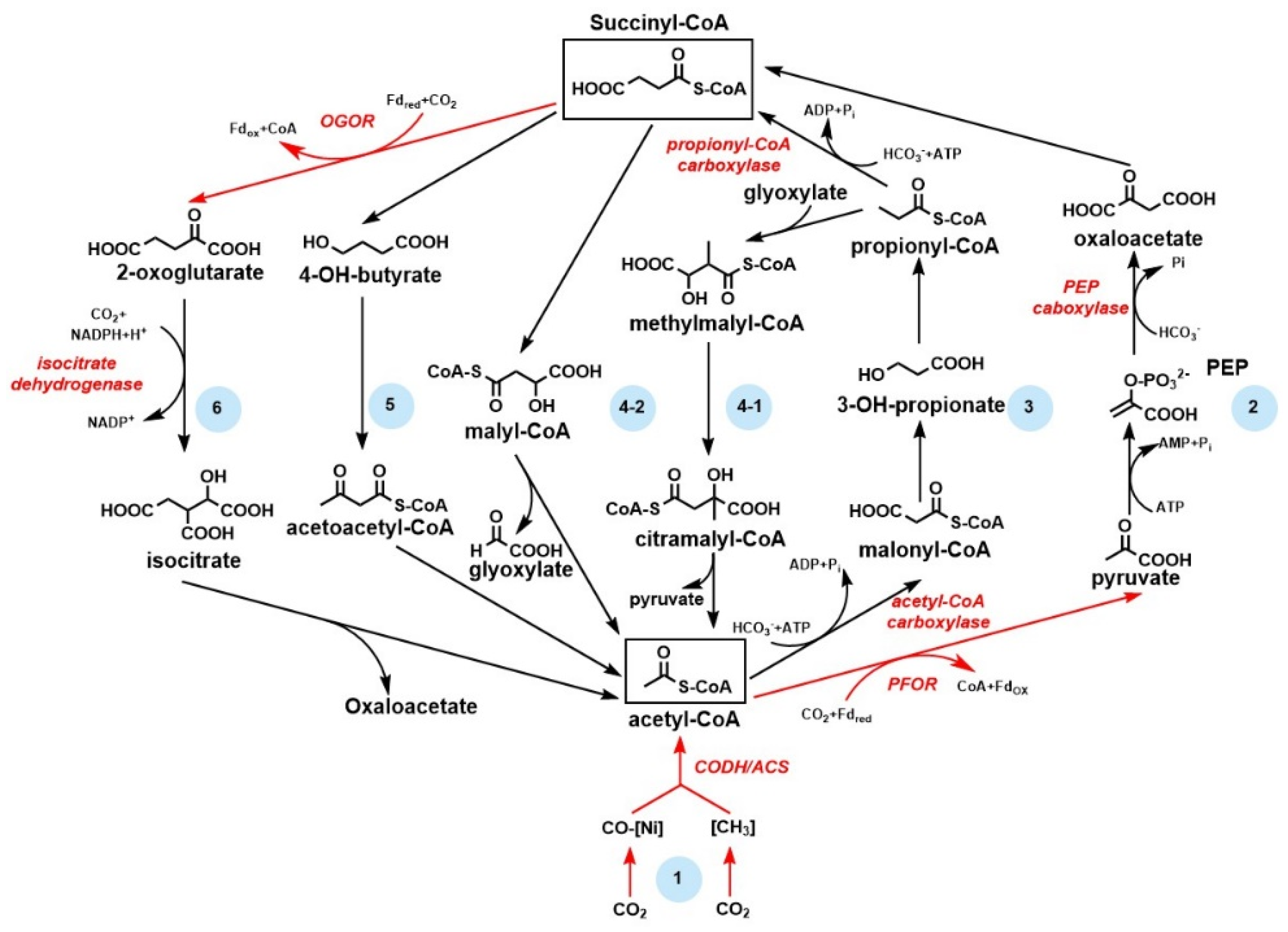 Catalysts 12 00399 g002 550