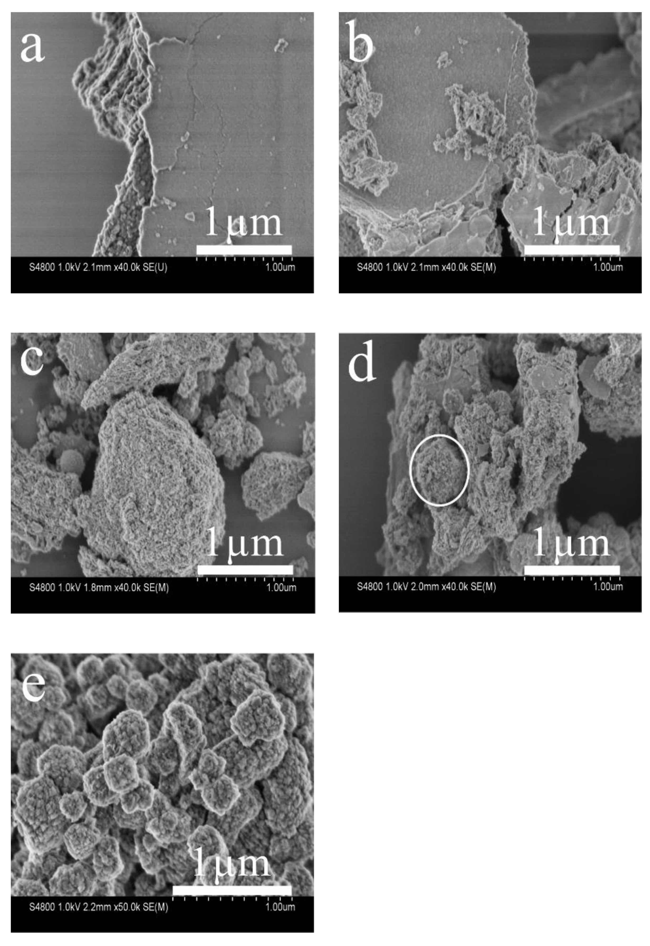 Catalysts 12 00407 g002 550