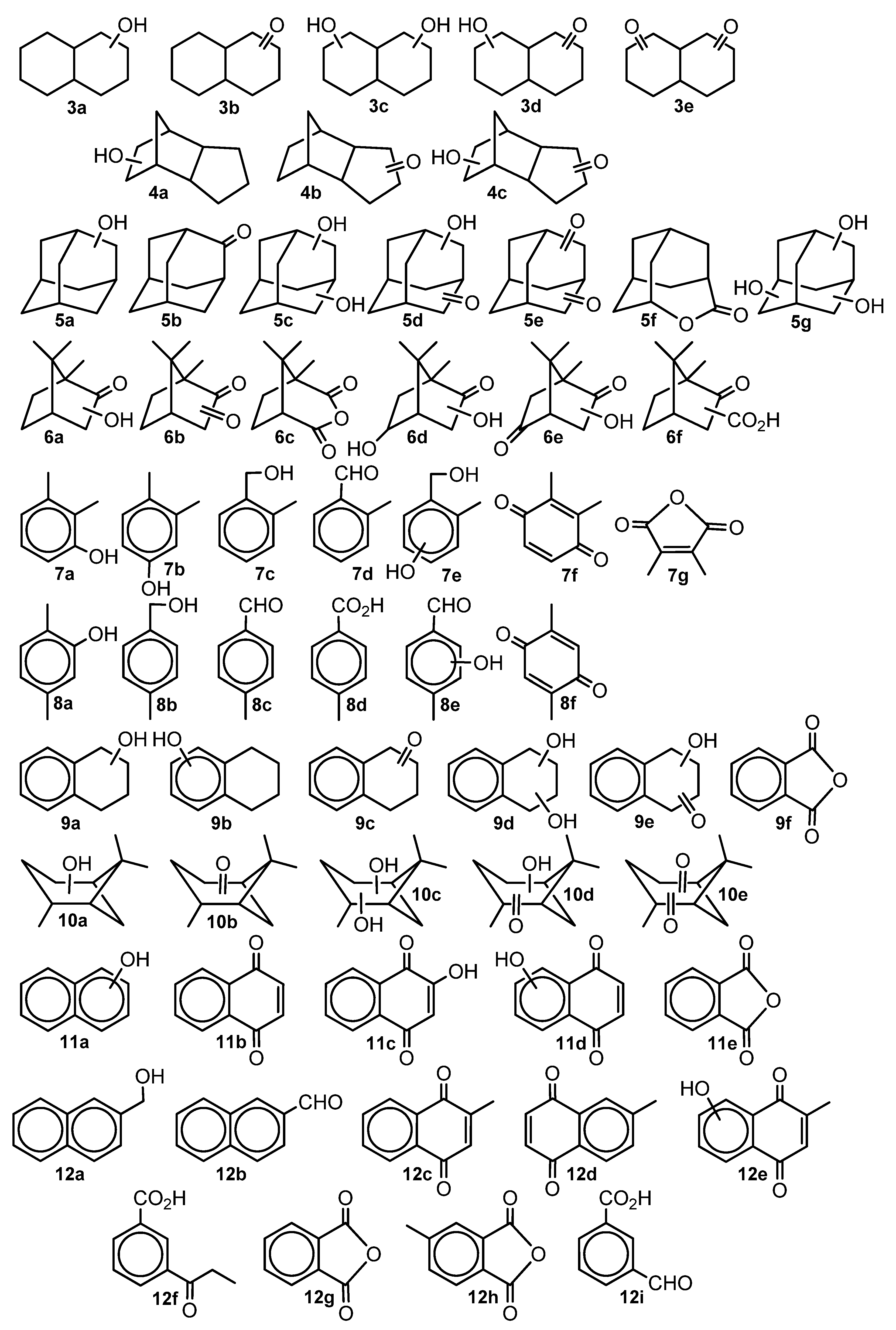 Catalysts 12 00409 sch004
