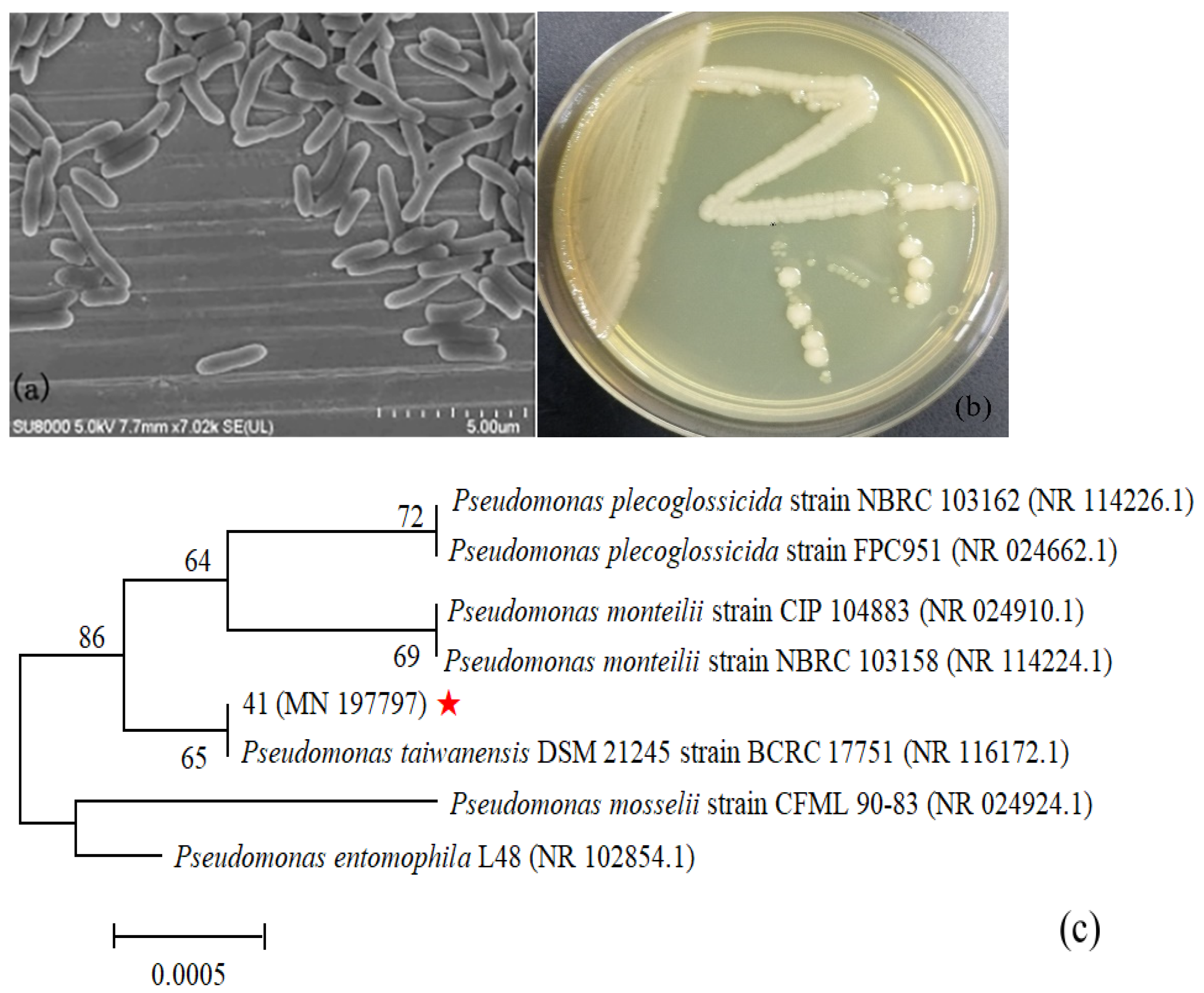 Catalysts 12 00412 g001
