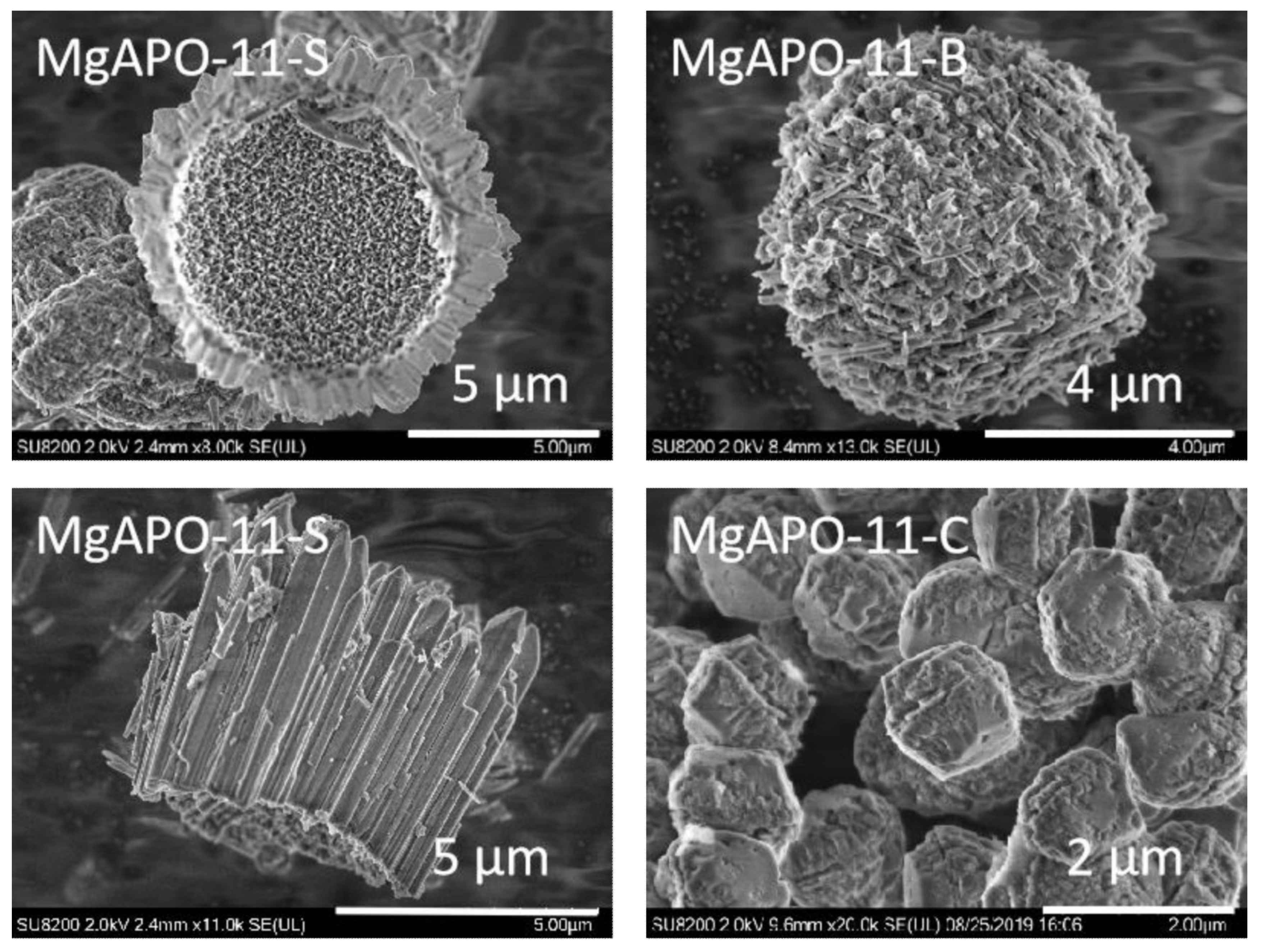 Catalysts 12 00413 g001