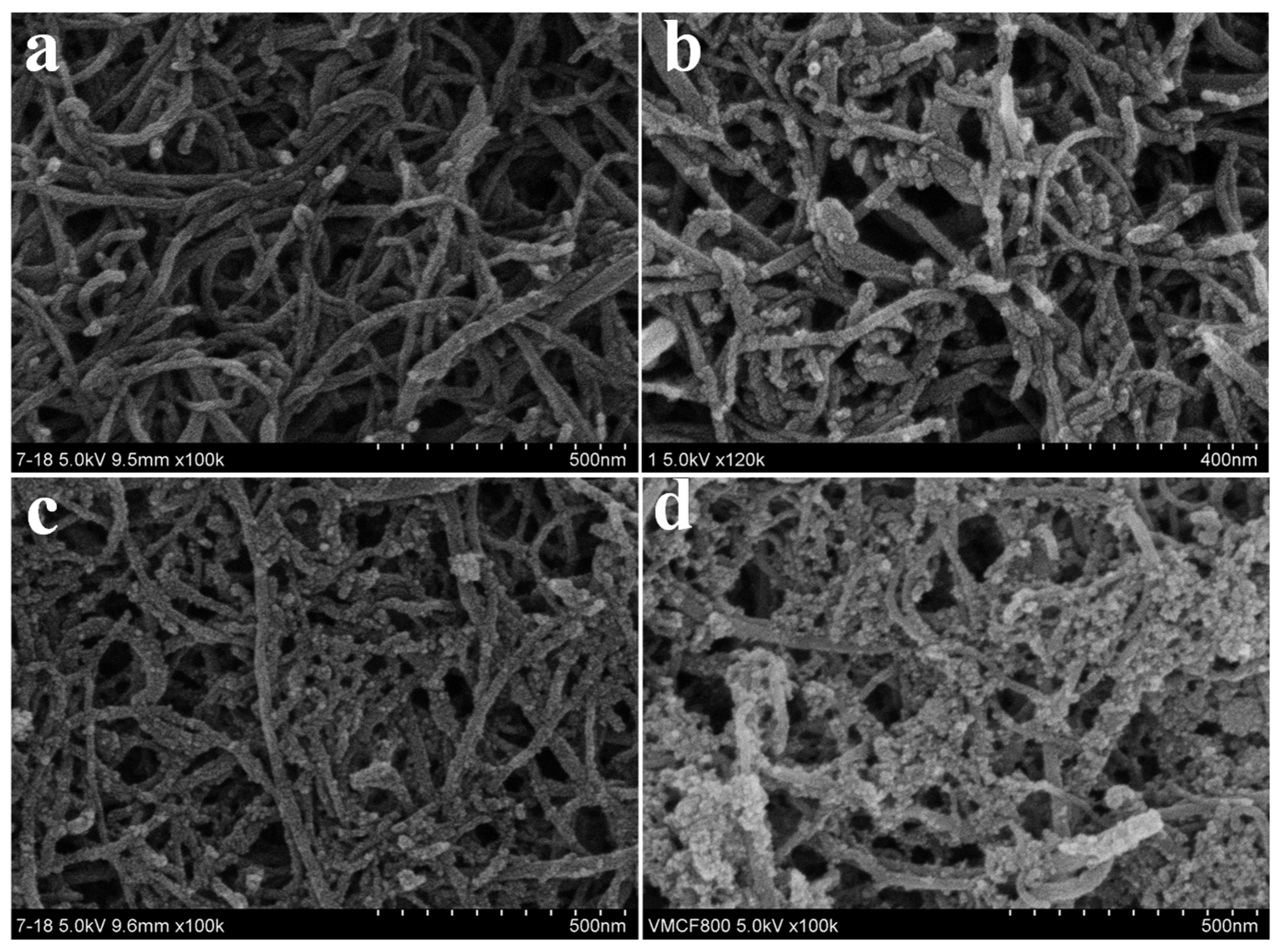 Catalysts 12 00416 g001