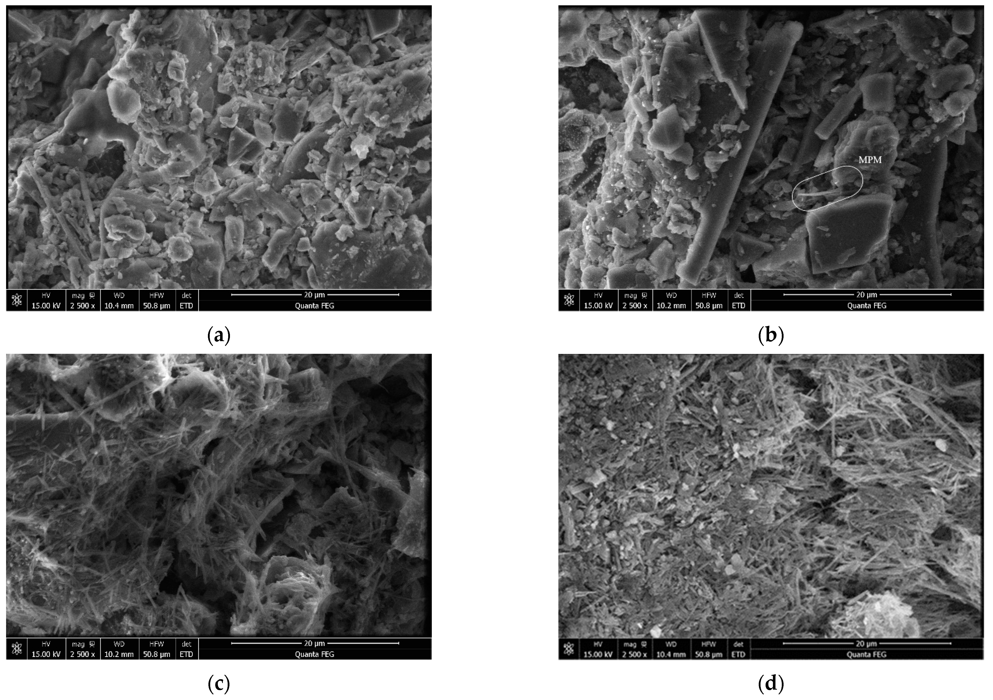Catalysts 12 00420 g003 550