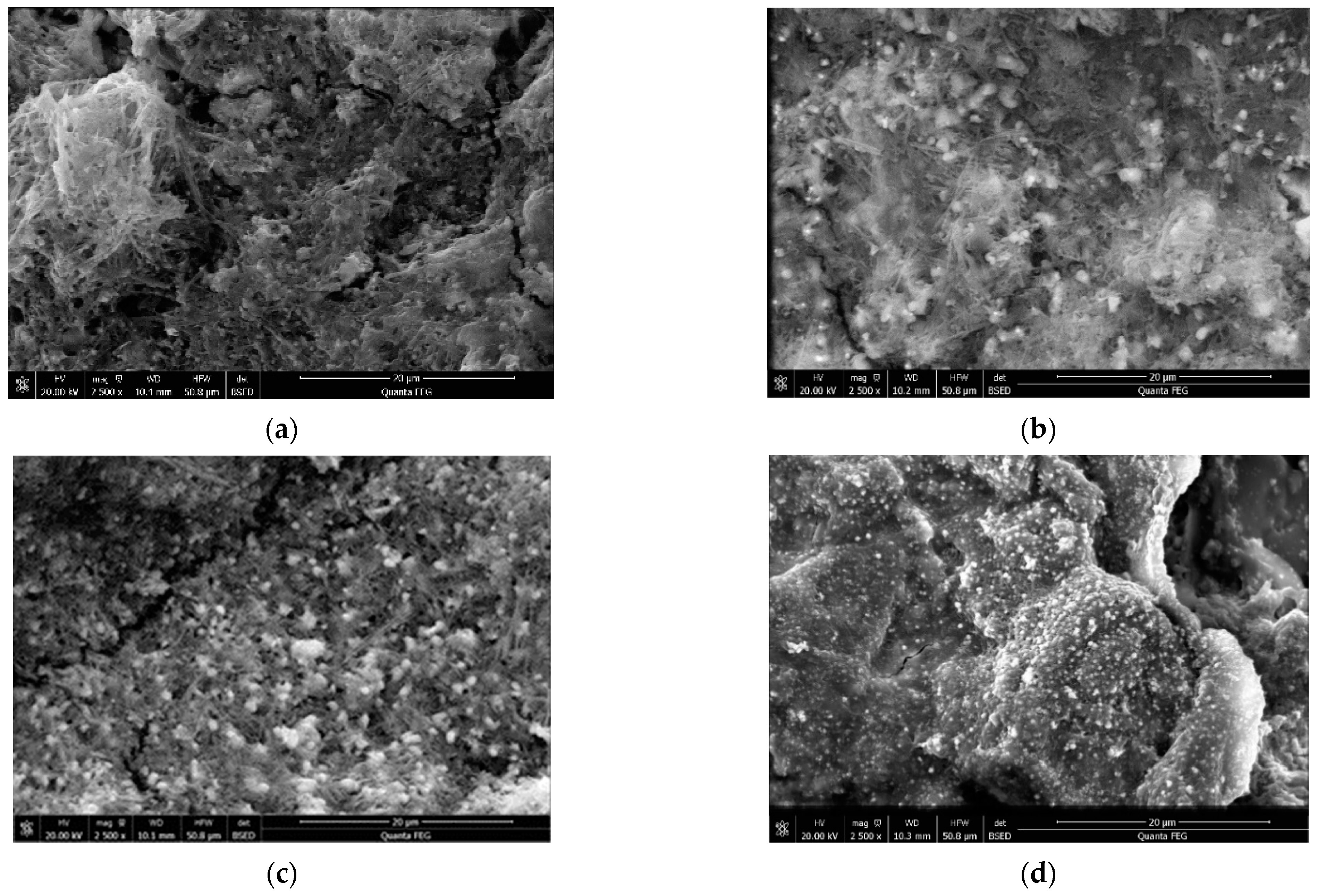 Catalysts 12 00420 g005 550