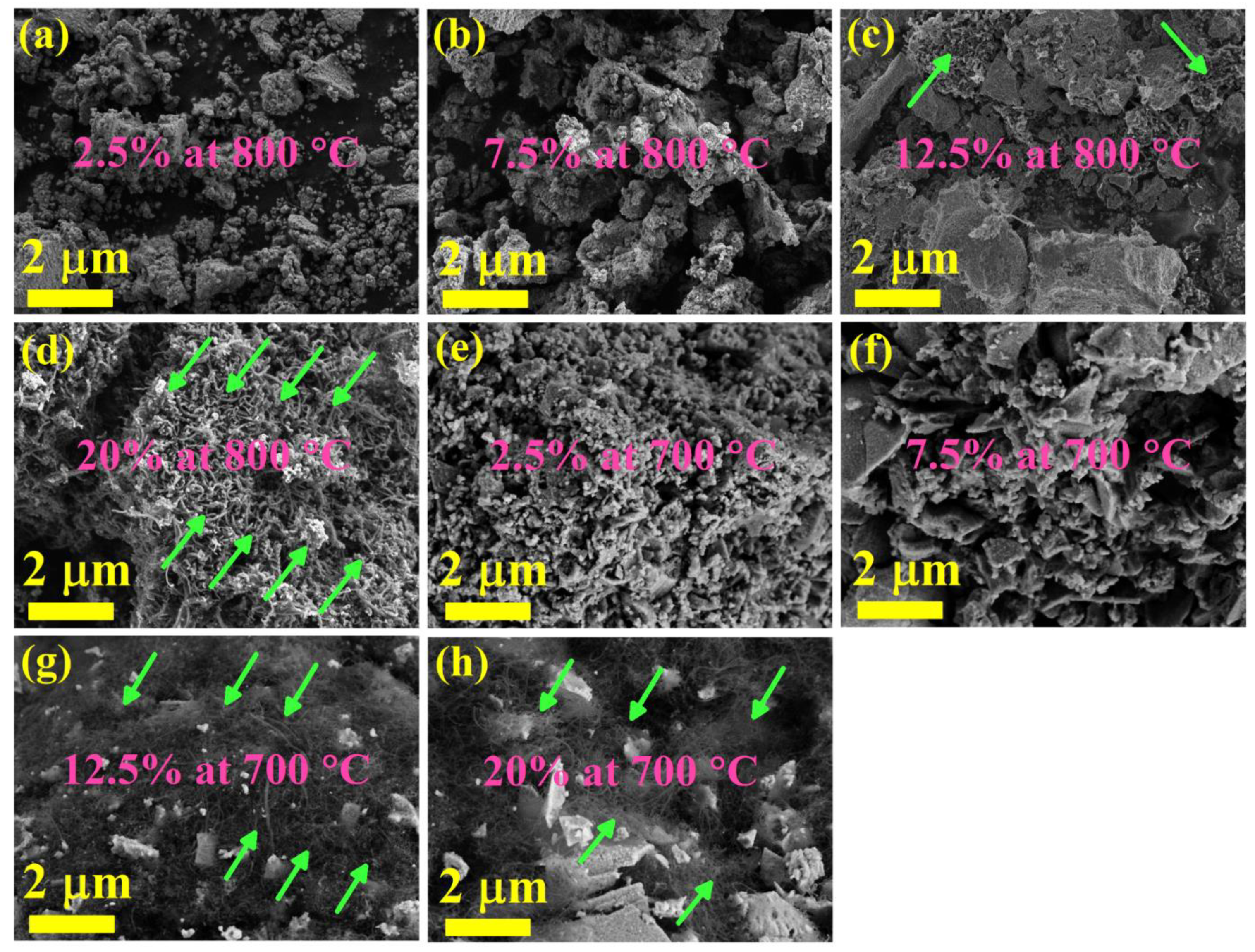 Catalysts 12 00423 g009